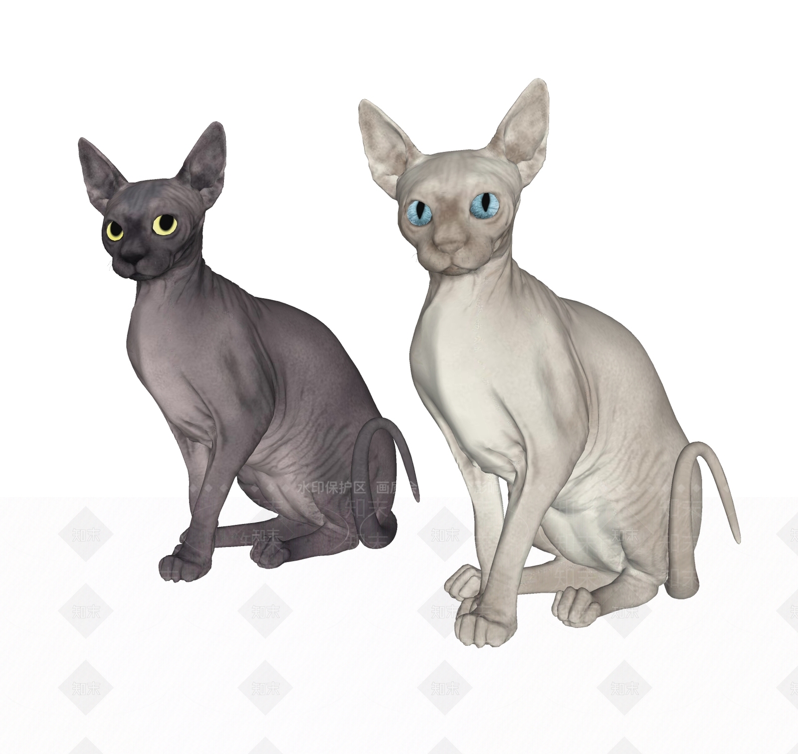 无毛猫SU模型下载【ID:1137982352】