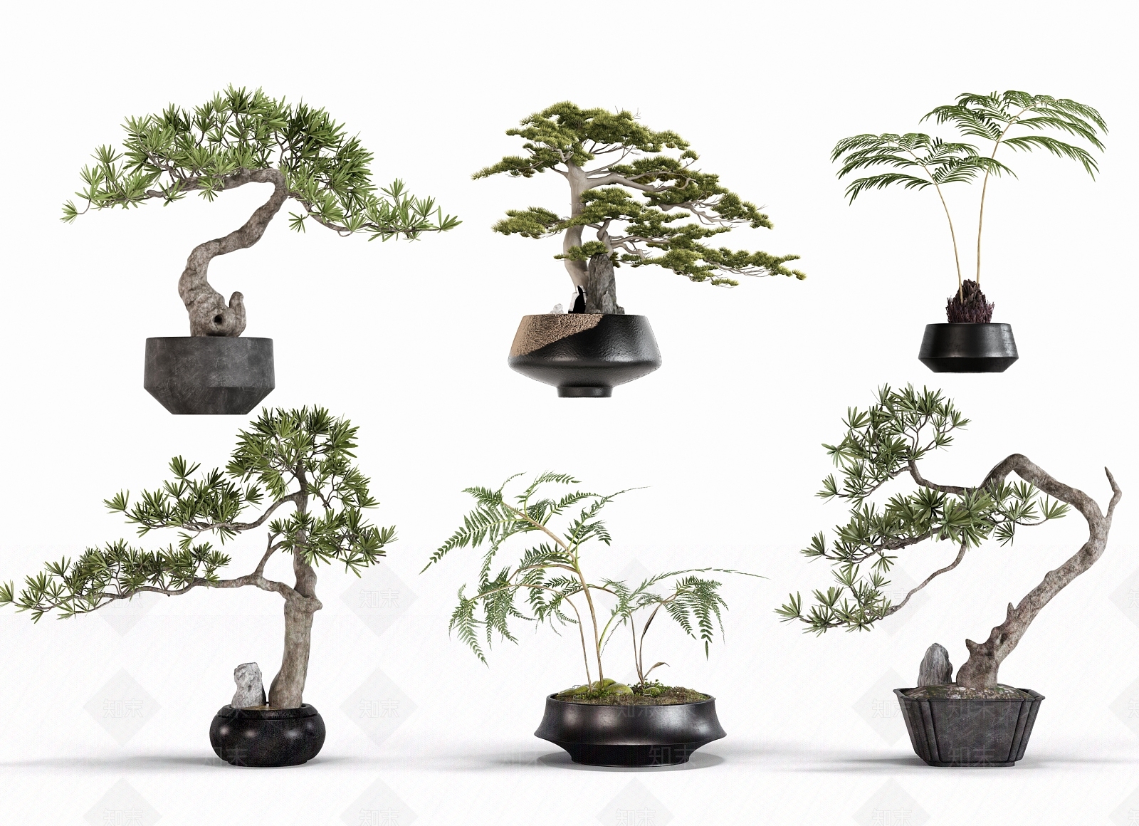 2D新中式松树盆栽SU模型下载【ID:1138043002】