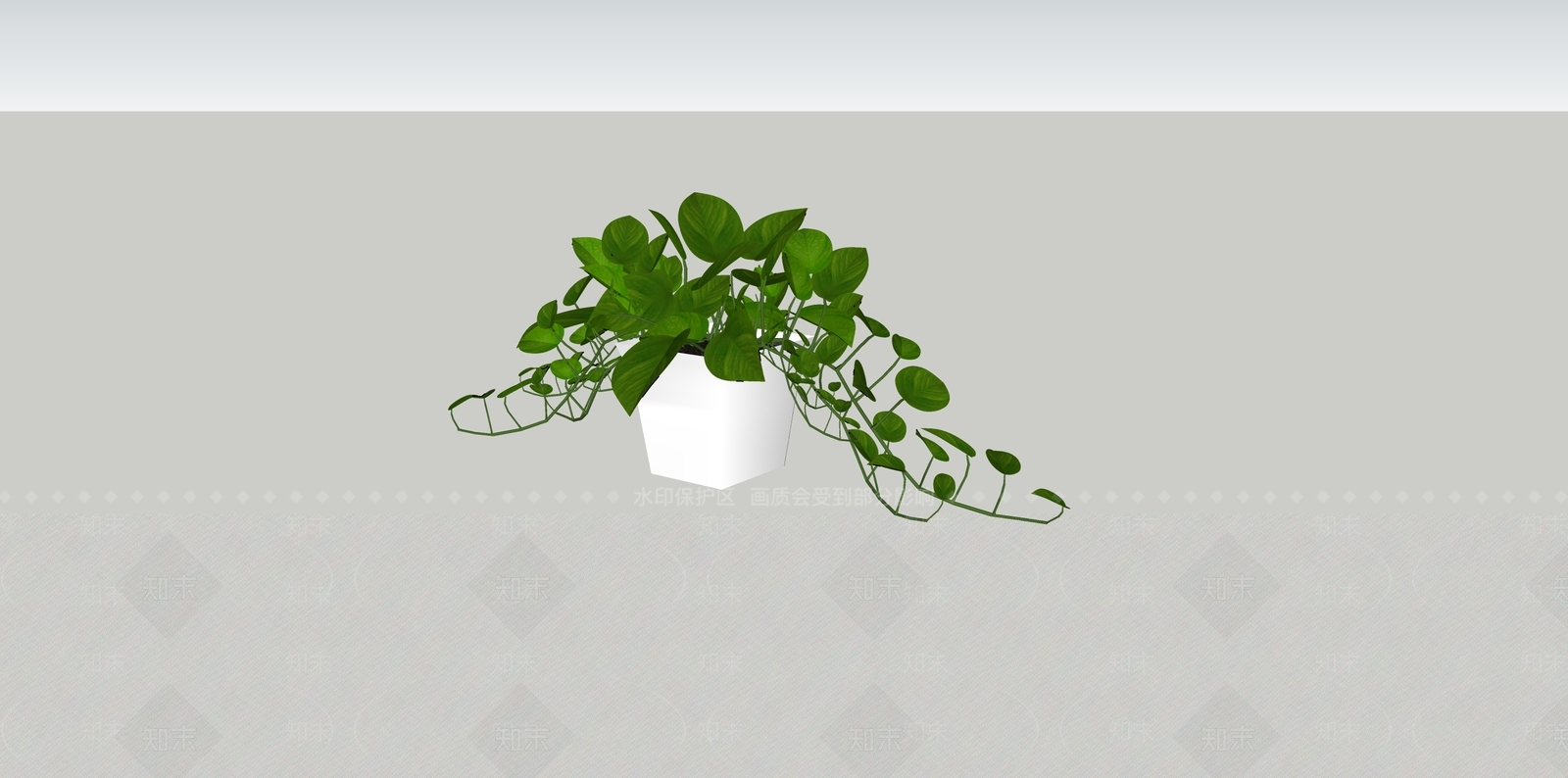 盆栽绿萝SU模型下载【ID:1138067735】