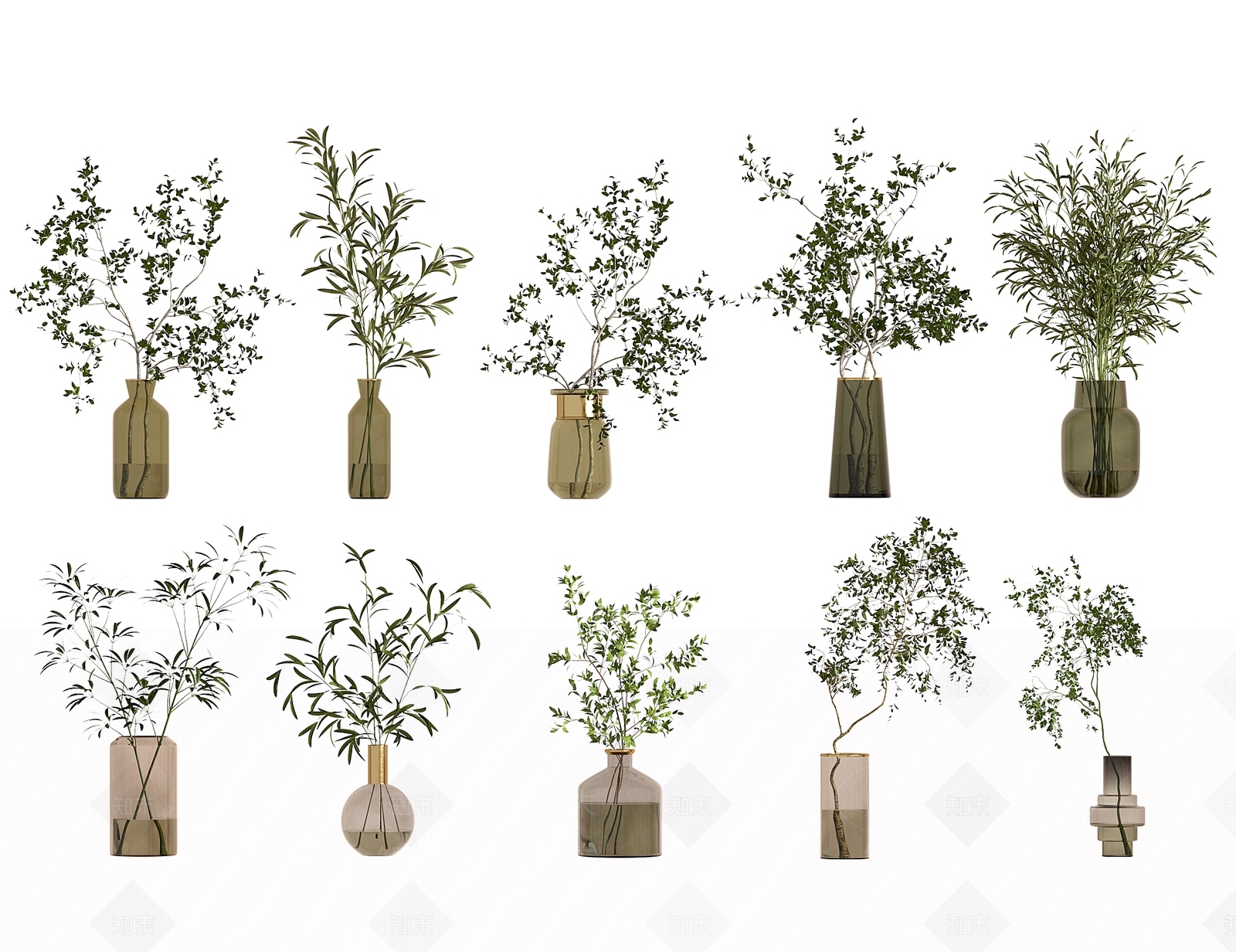 水生植物3D模型下载【ID:1138092678】