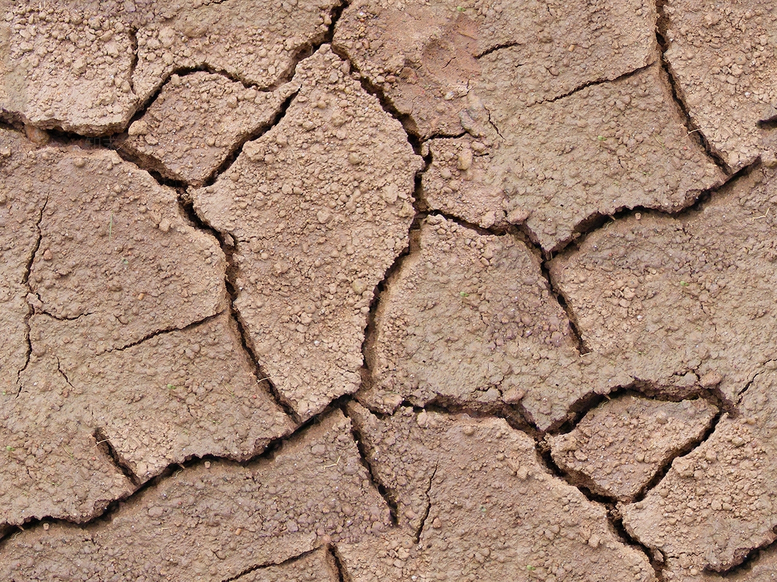 无缝黄色干旱开裂纹泥土道路土壤地面贴图下载【ID:1138104147】