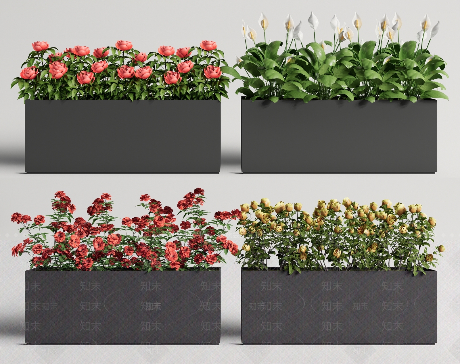 现代植物花箱3D模型下载【ID:1138167237】