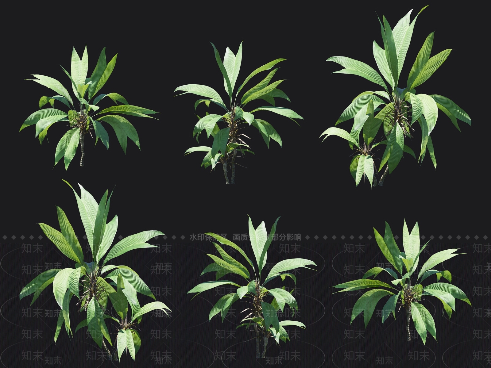 鹤望兰3D模型下载【ID:1138203027】