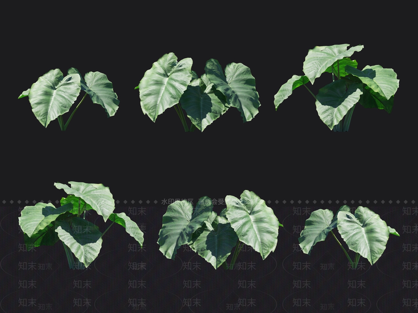 大野芋3D模型下载【ID:1138204859】