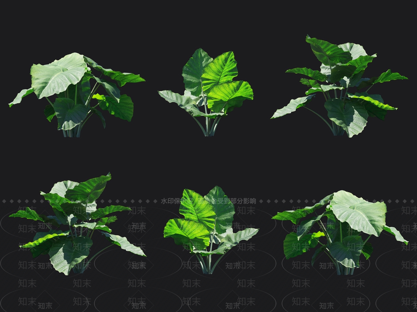 大野芋3D模型下载【ID:1138204873】