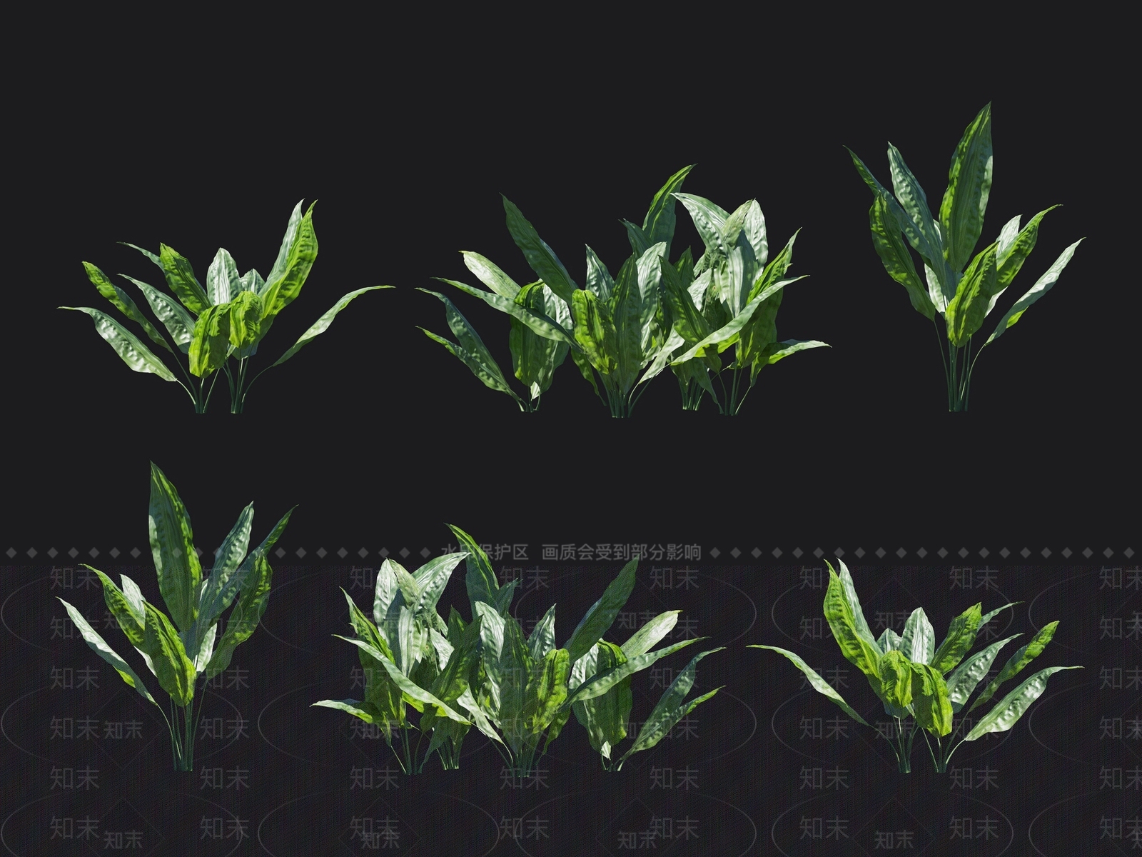 环花草3D模型下载【ID:1138205372】