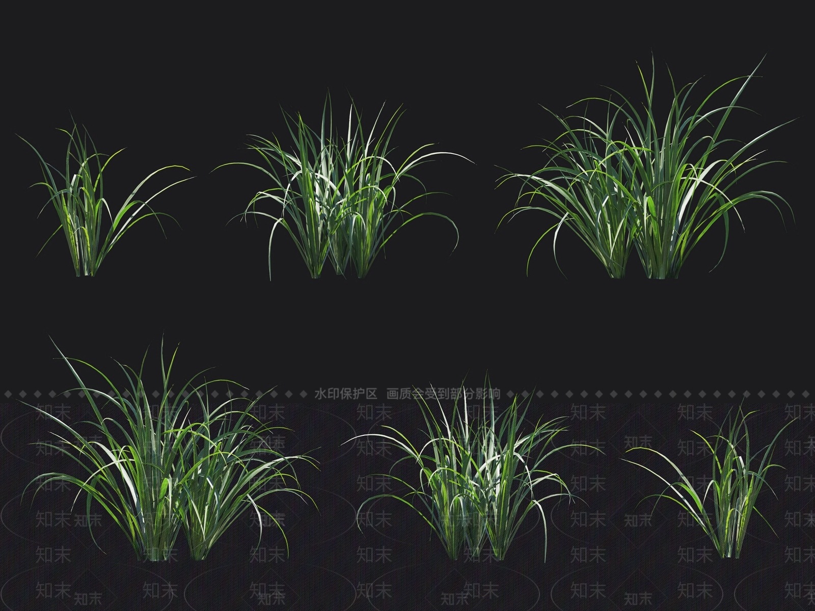 柠檬草3D模型下载【ID:1138205470】