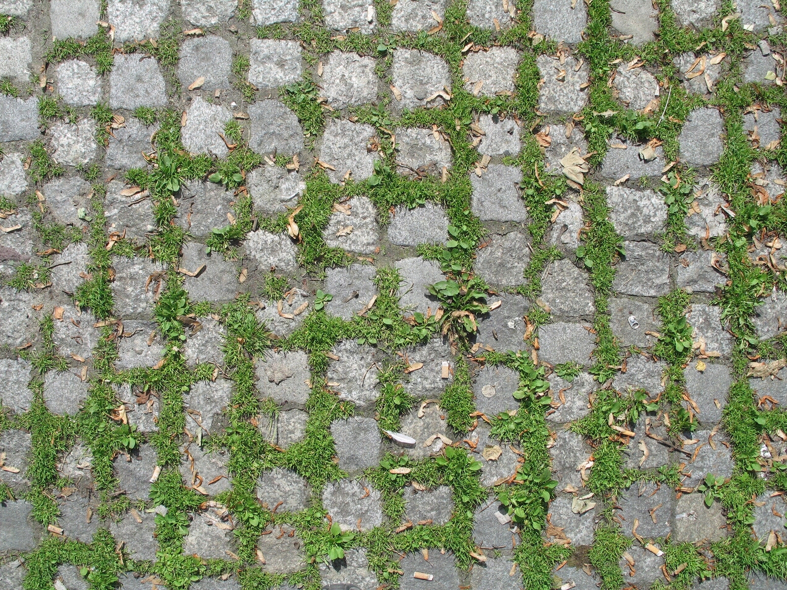 现代石块砖植草砖草坪砖停车砖嵌草砖嵌草铺装贴图下载【ID:1138220367】