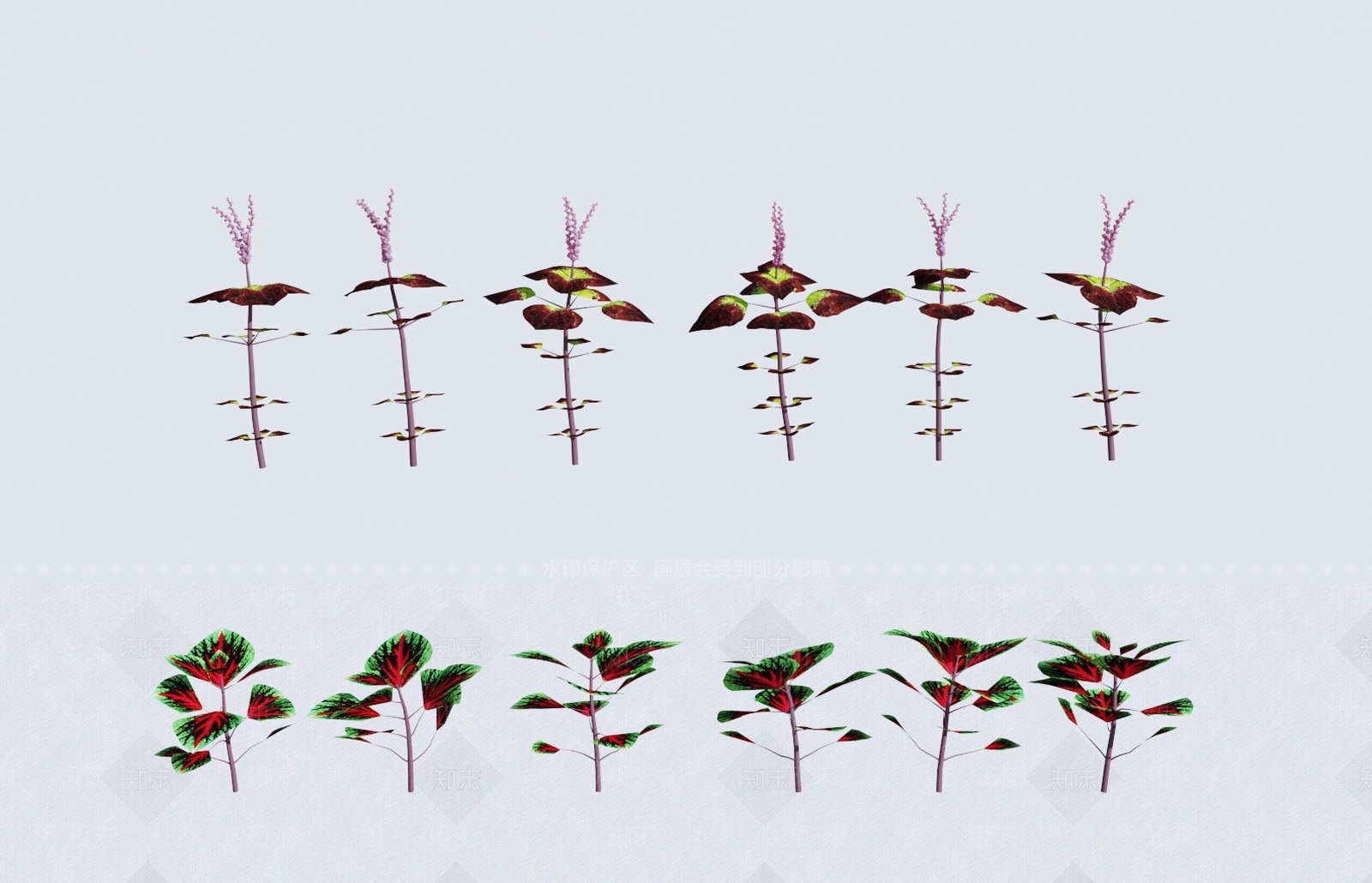 花草3D模型下载【ID:1138241286】
