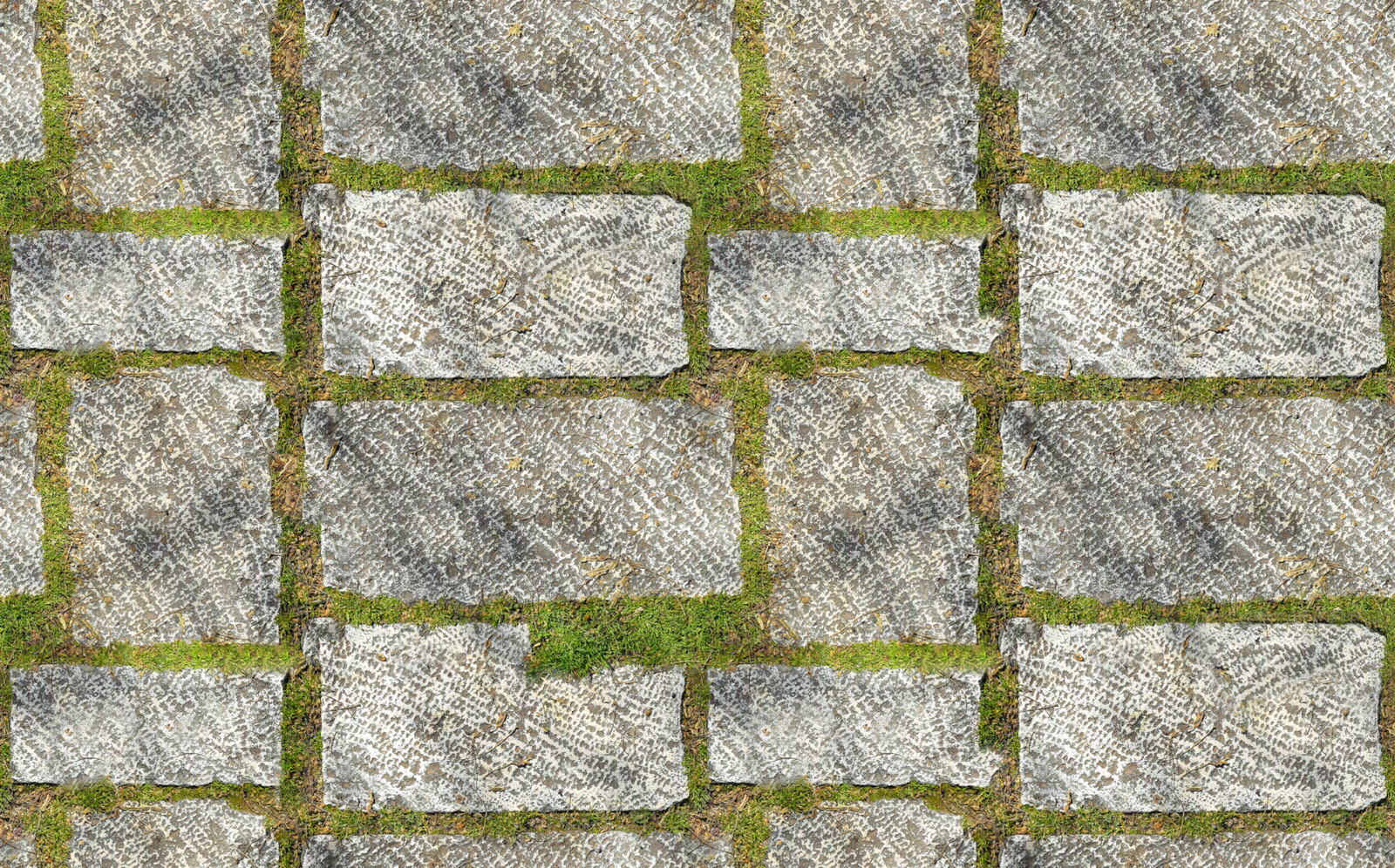 毛面自然方石间隙植草贴图下载【ID:1138244383】