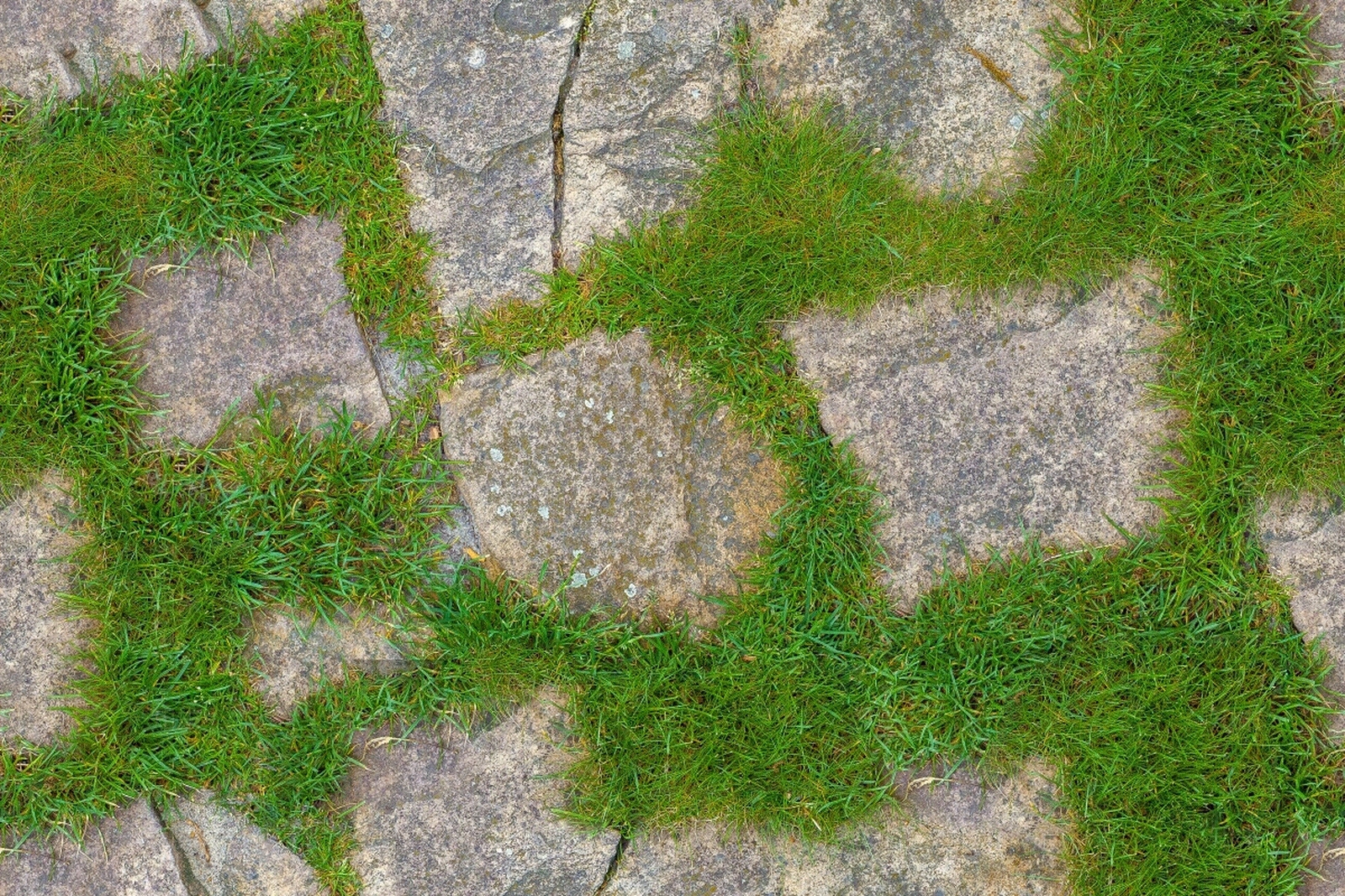 毛面自然石间隙植草贴图下载【ID:1138244458】