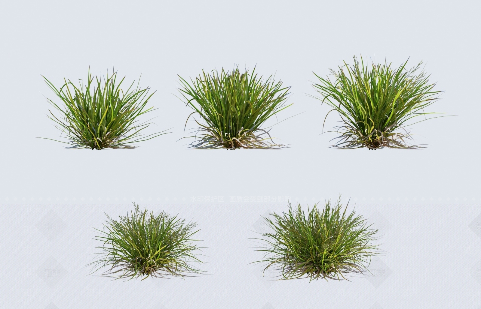 草3D模型下载【ID:1138246442】