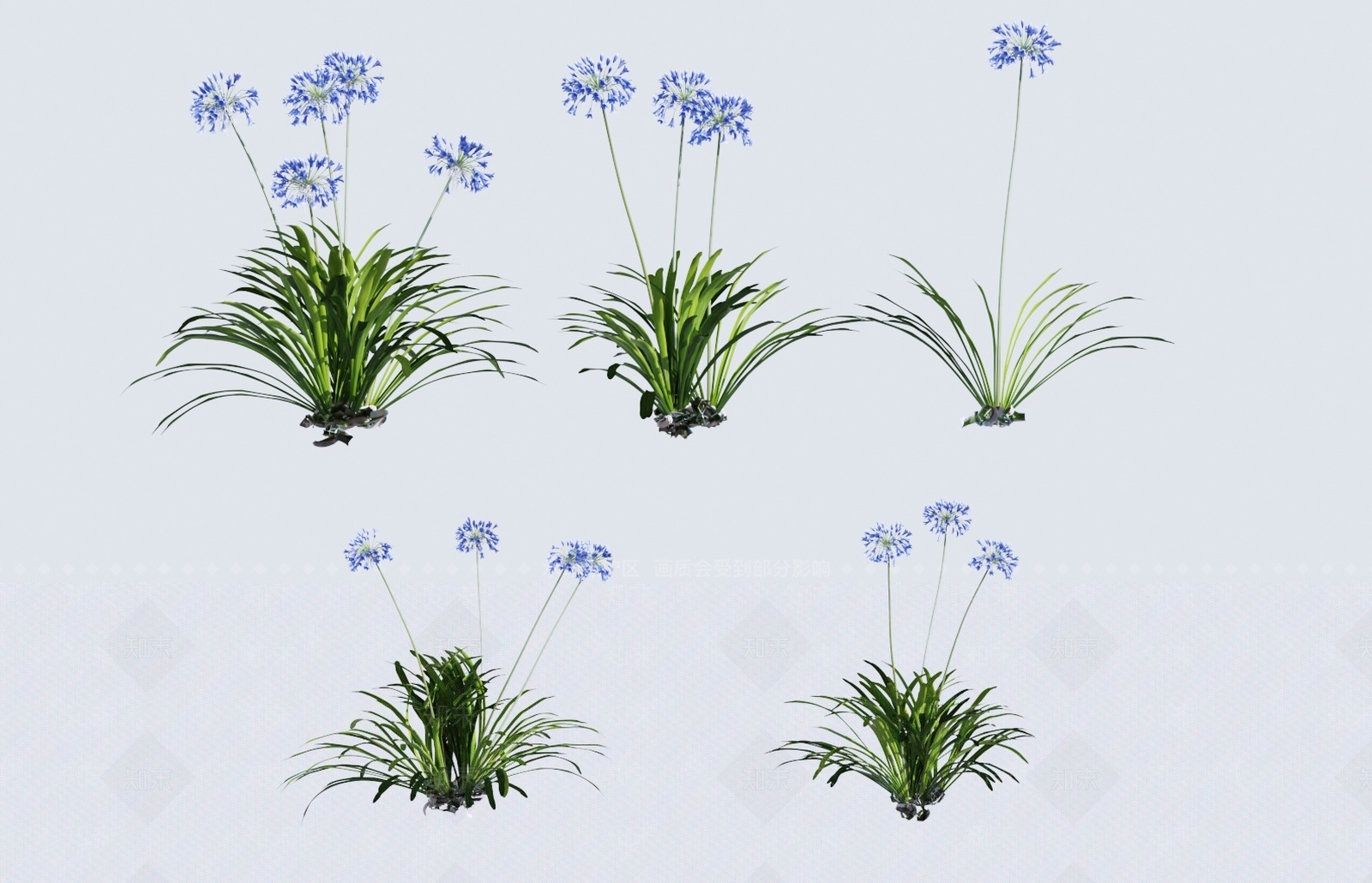 花草组合3D模型下载【ID:1138254319】
