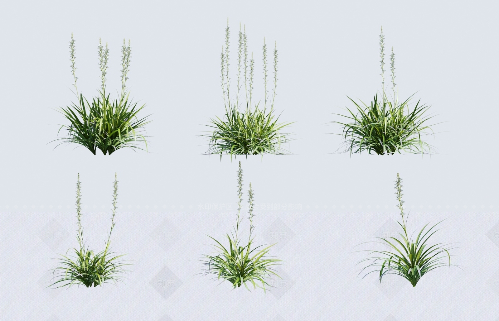 草3D模型下载【ID:1138254648】