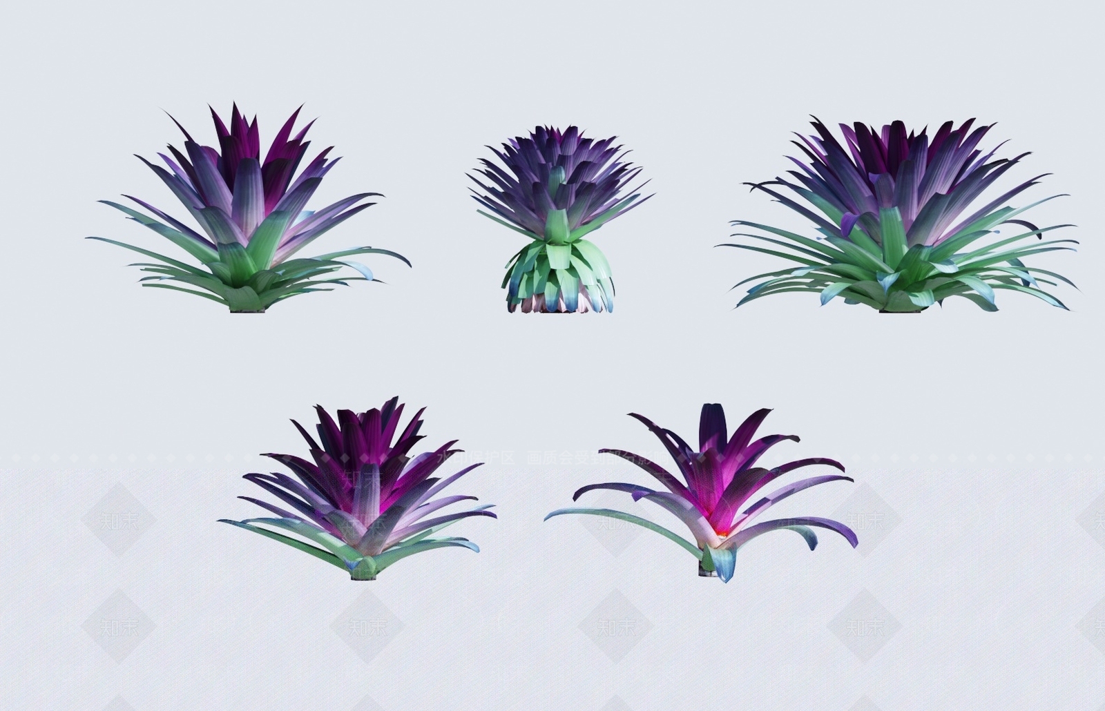 花草组合3D模型下载【ID:1138255827】