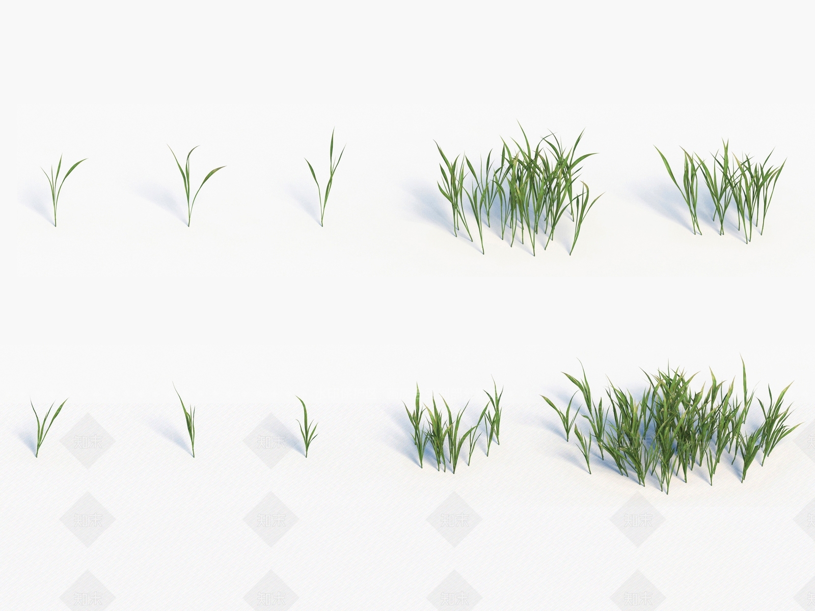 青草3D模型下载【ID:1138308682】