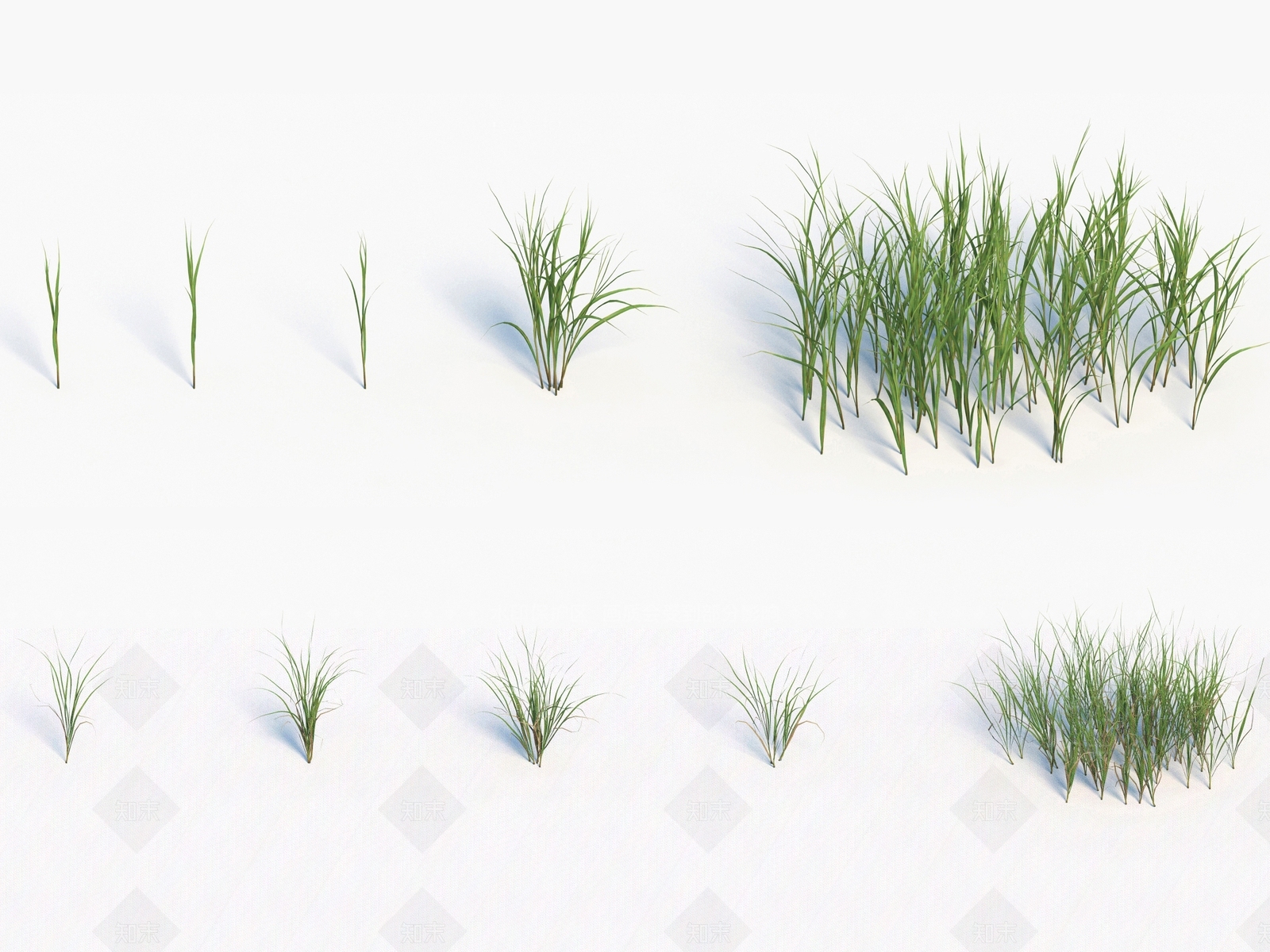 青草3D模型下载【ID:1138308813】