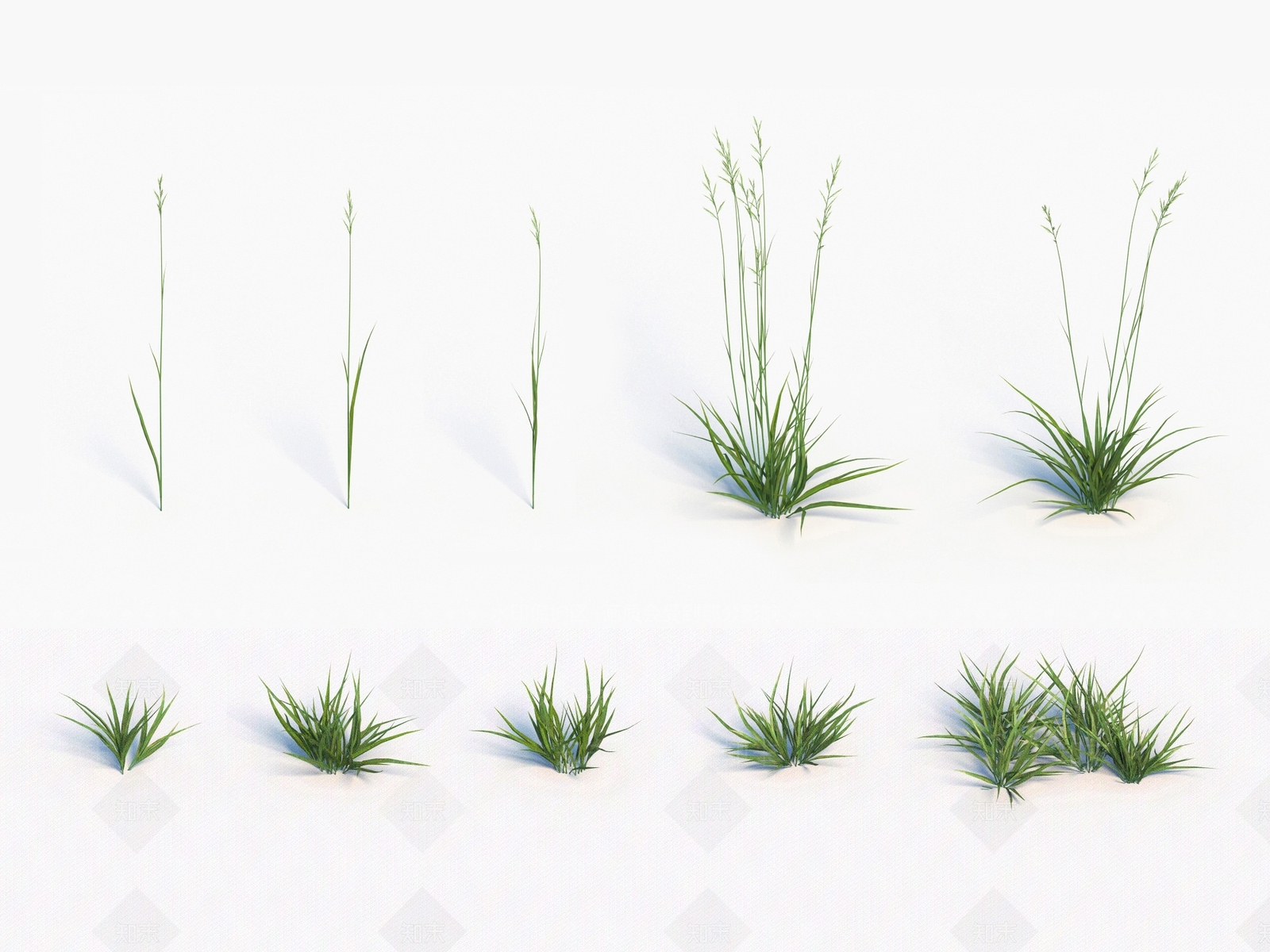 青草3D模型下载【ID:1138308856】