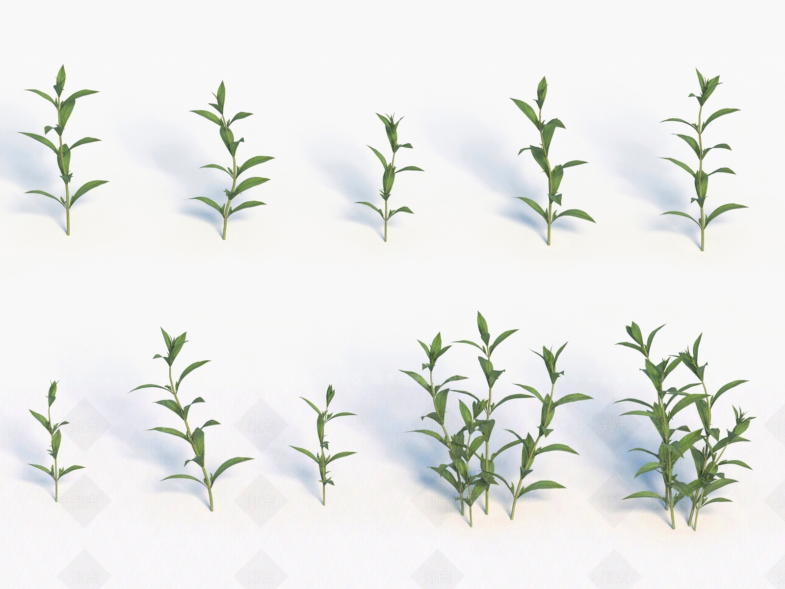 青草3D模型下载【ID:1138308964】