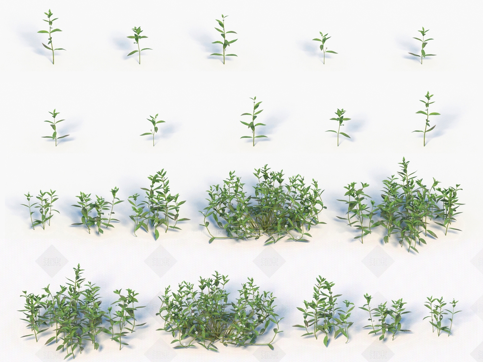 青草3D模型下载【ID:1138309063】