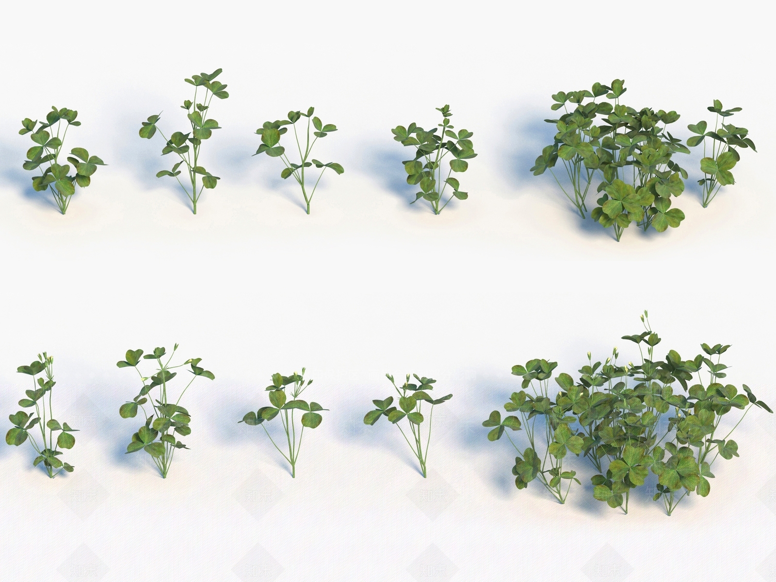青草3D模型下载【ID:1138309106】