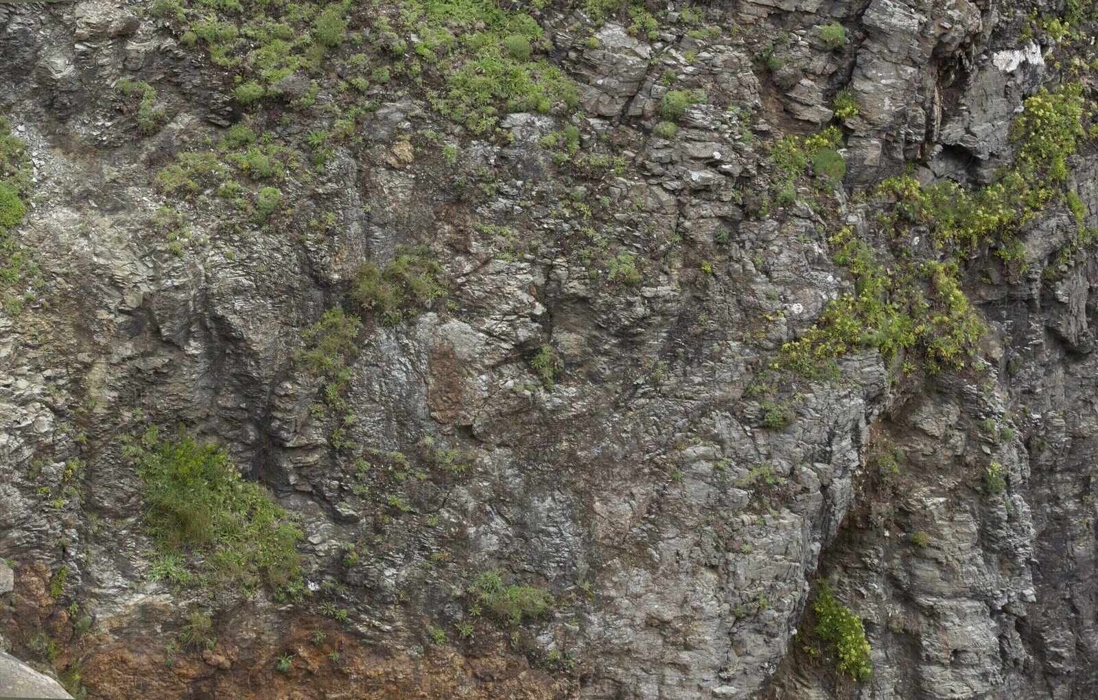 室外自然青石石材贴图下载【ID:1138329964】