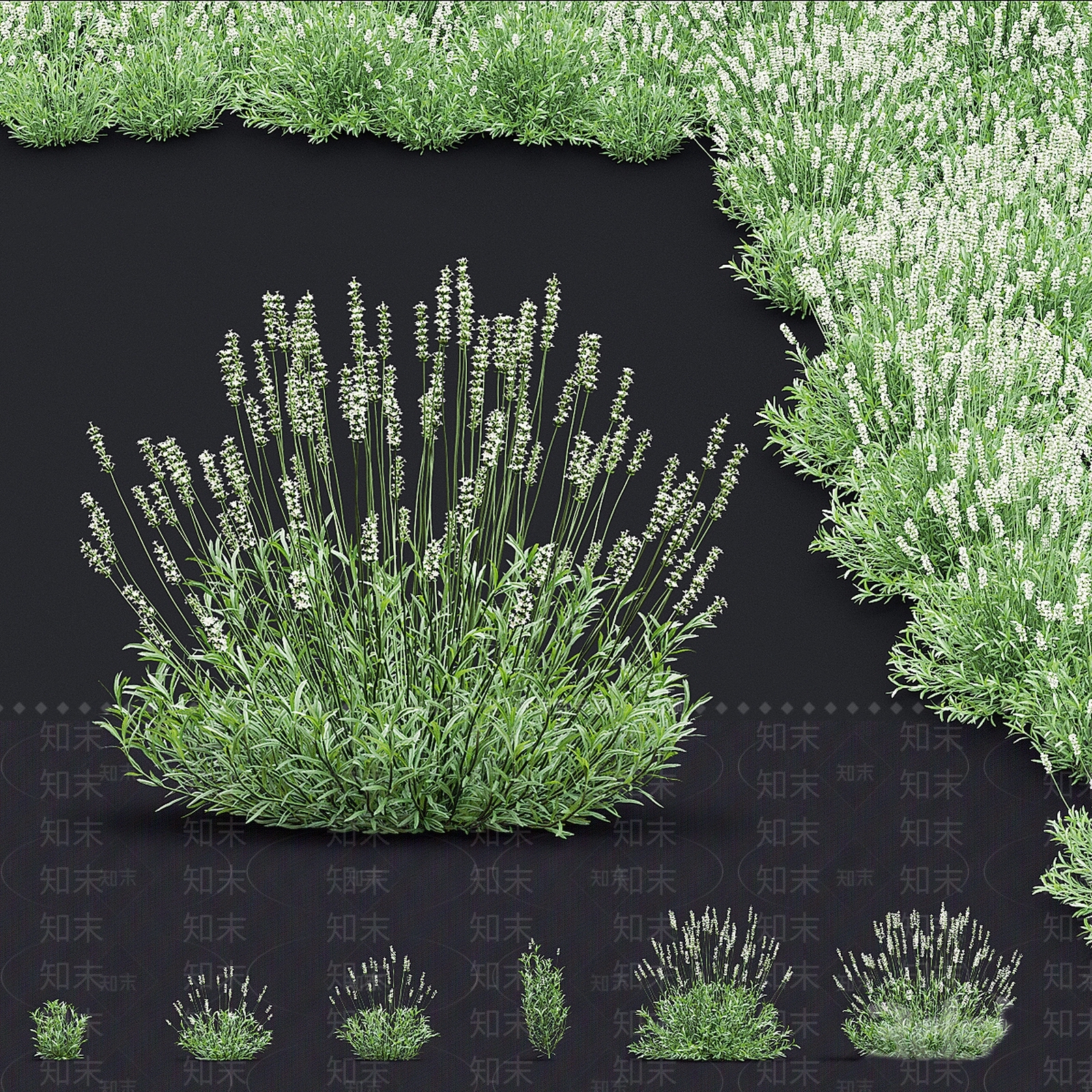 现代草丛植物堆3D模型下载【ID:1138342792】