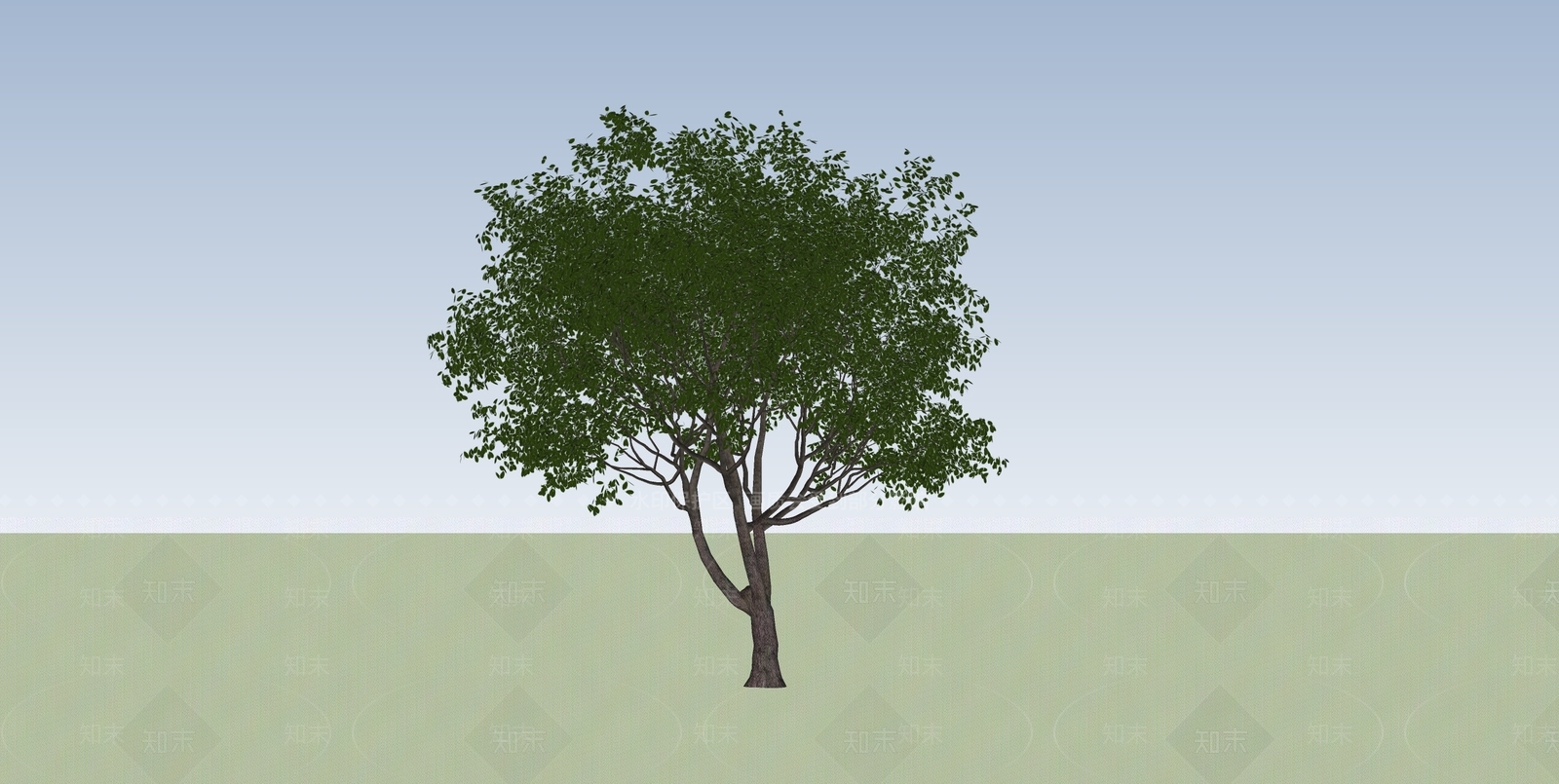 乔木SU模型下载【ID:1138343501】