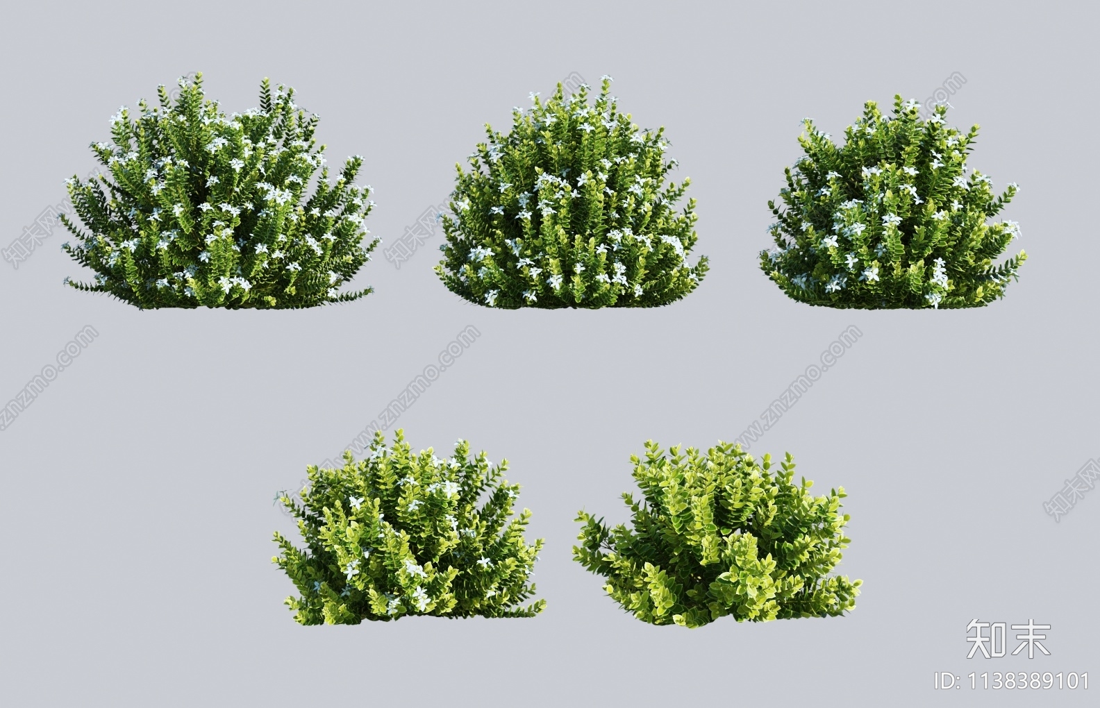 绿植灌木3D模型下载【ID:1138389101】