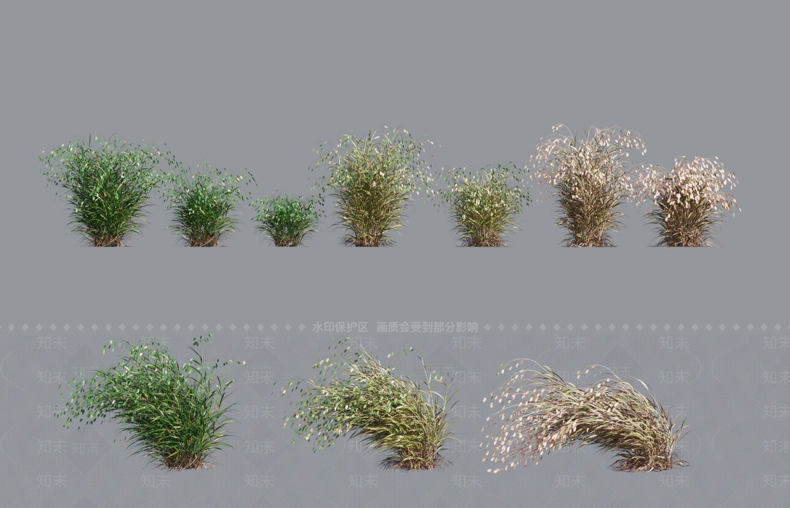草3D模型下载【ID:1138391991】