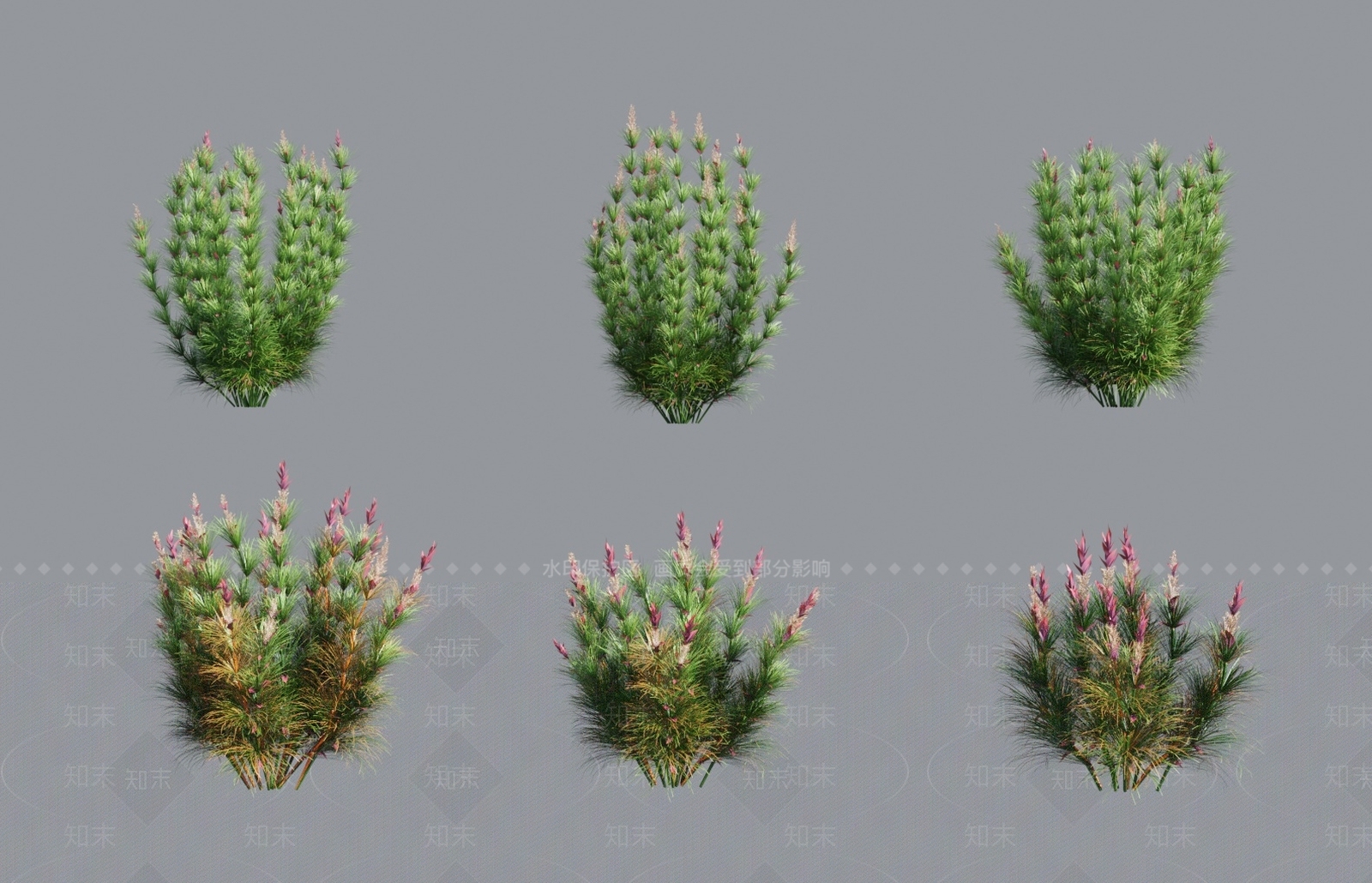 草3D模型下载【ID:1138402854】