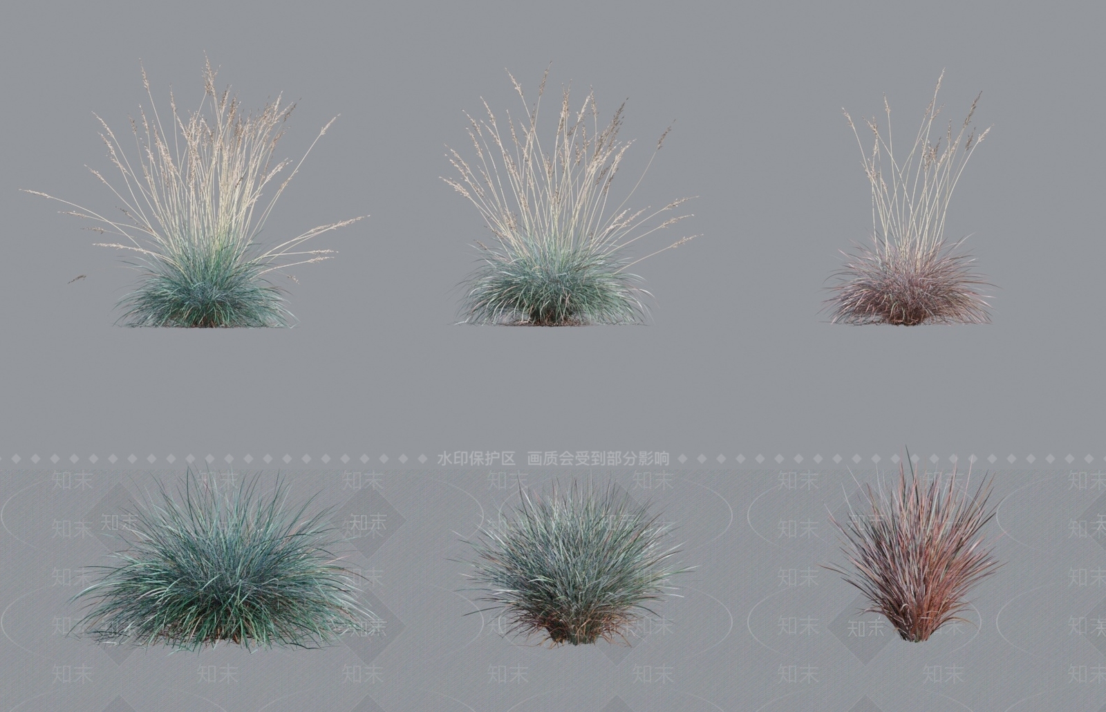 草3D模型下载【ID:1138403844】