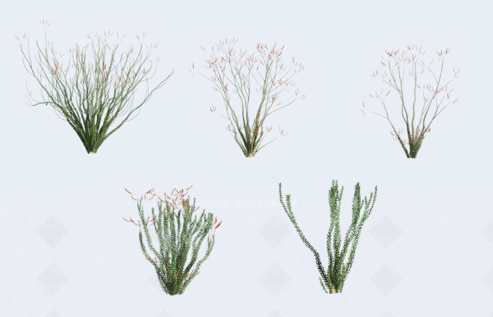 草3D模型下载【ID:1138406299】