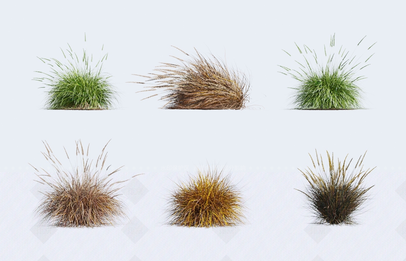 草3D模型下载【ID:1138406478】