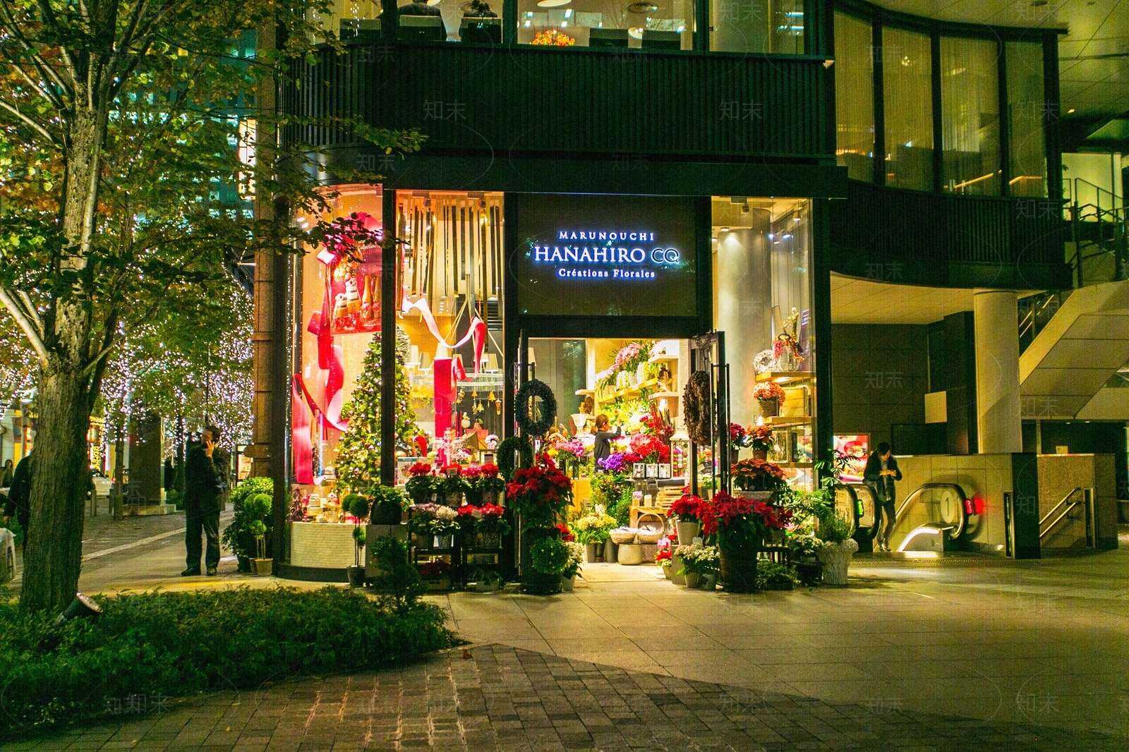 店面橱窗夜景贴图下载【ID:1138473763】