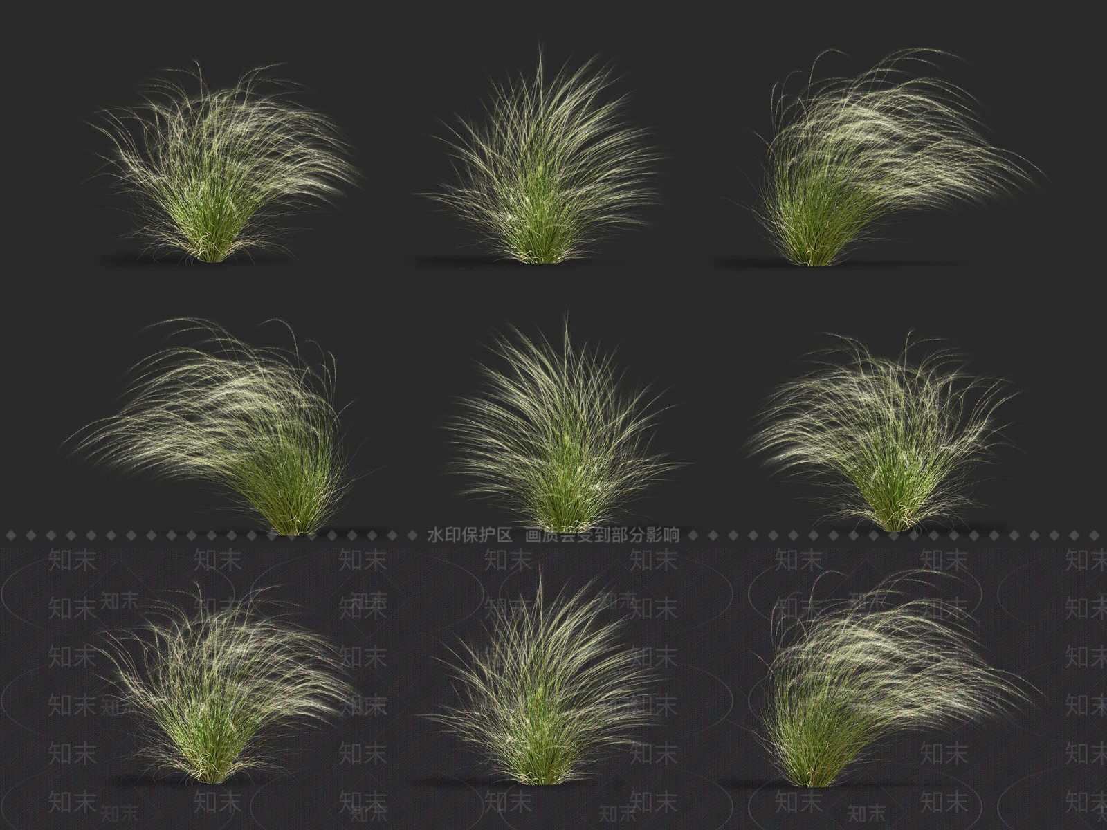针茅3D模型下载【ID:1138520501】