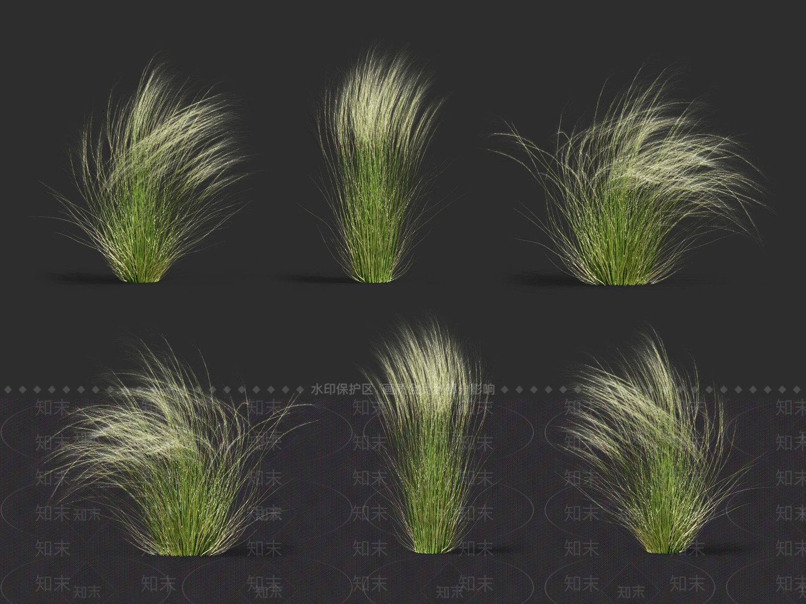 针茅3D模型下载【ID:1138520467】