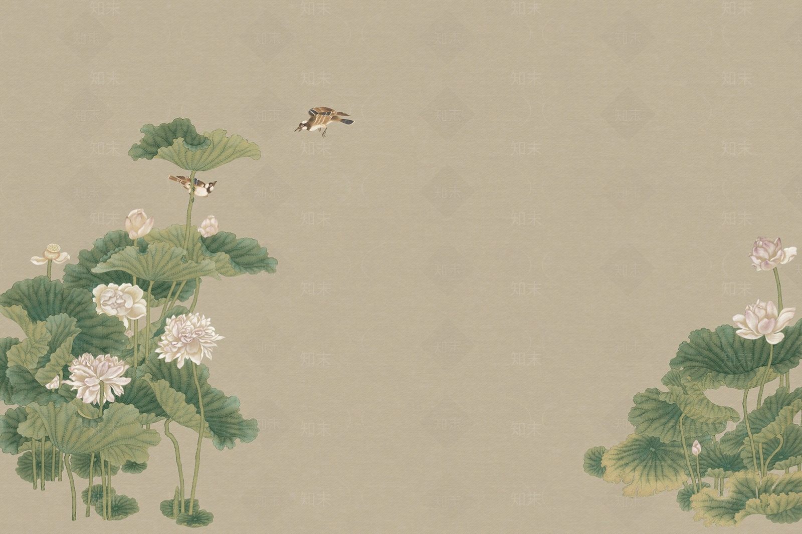 新中式荷花莲花壁纸贴图下载【ID:1138671079】