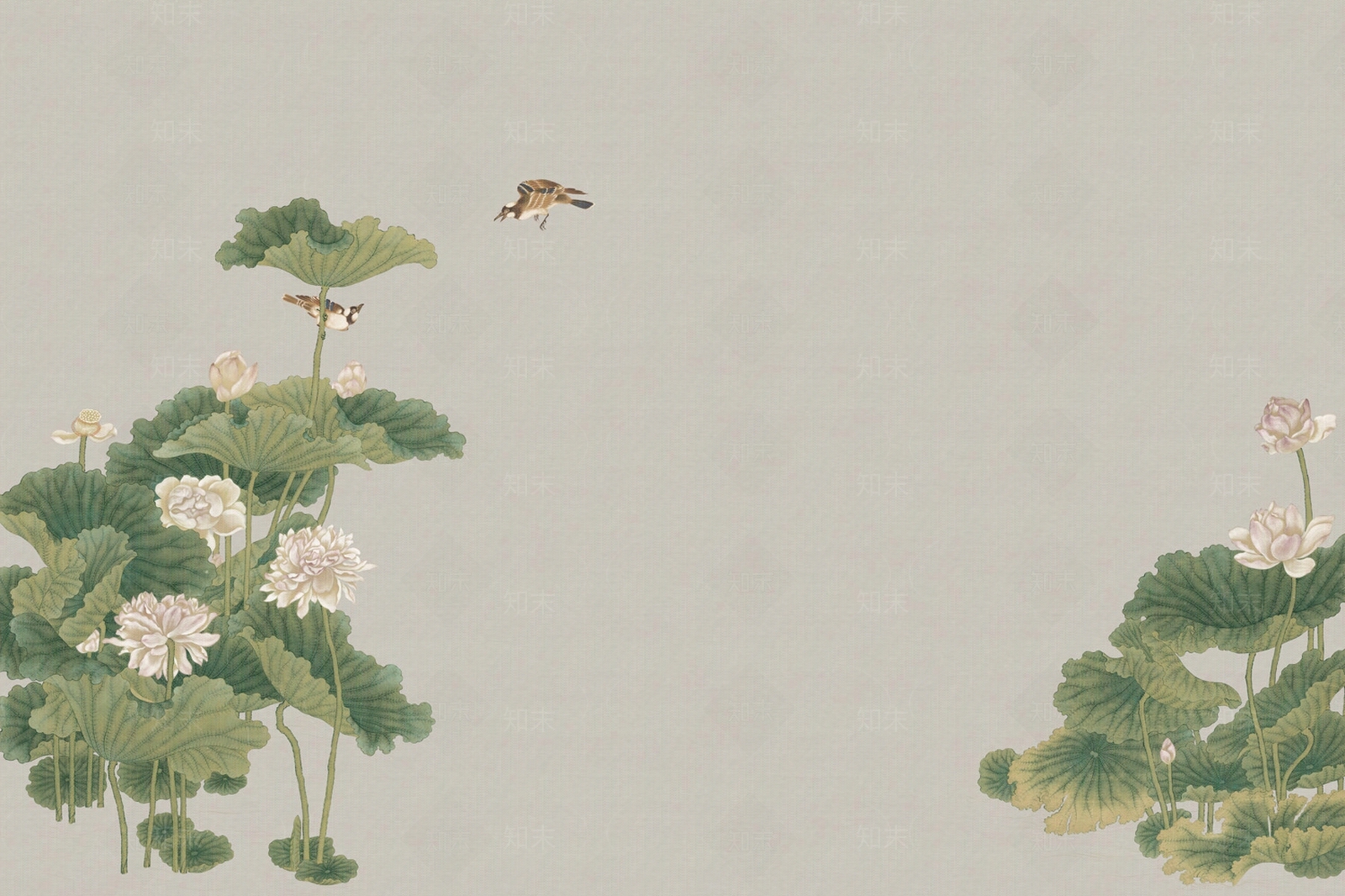 新中式荷花莲花壁纸贴图下载【ID:1138671125】