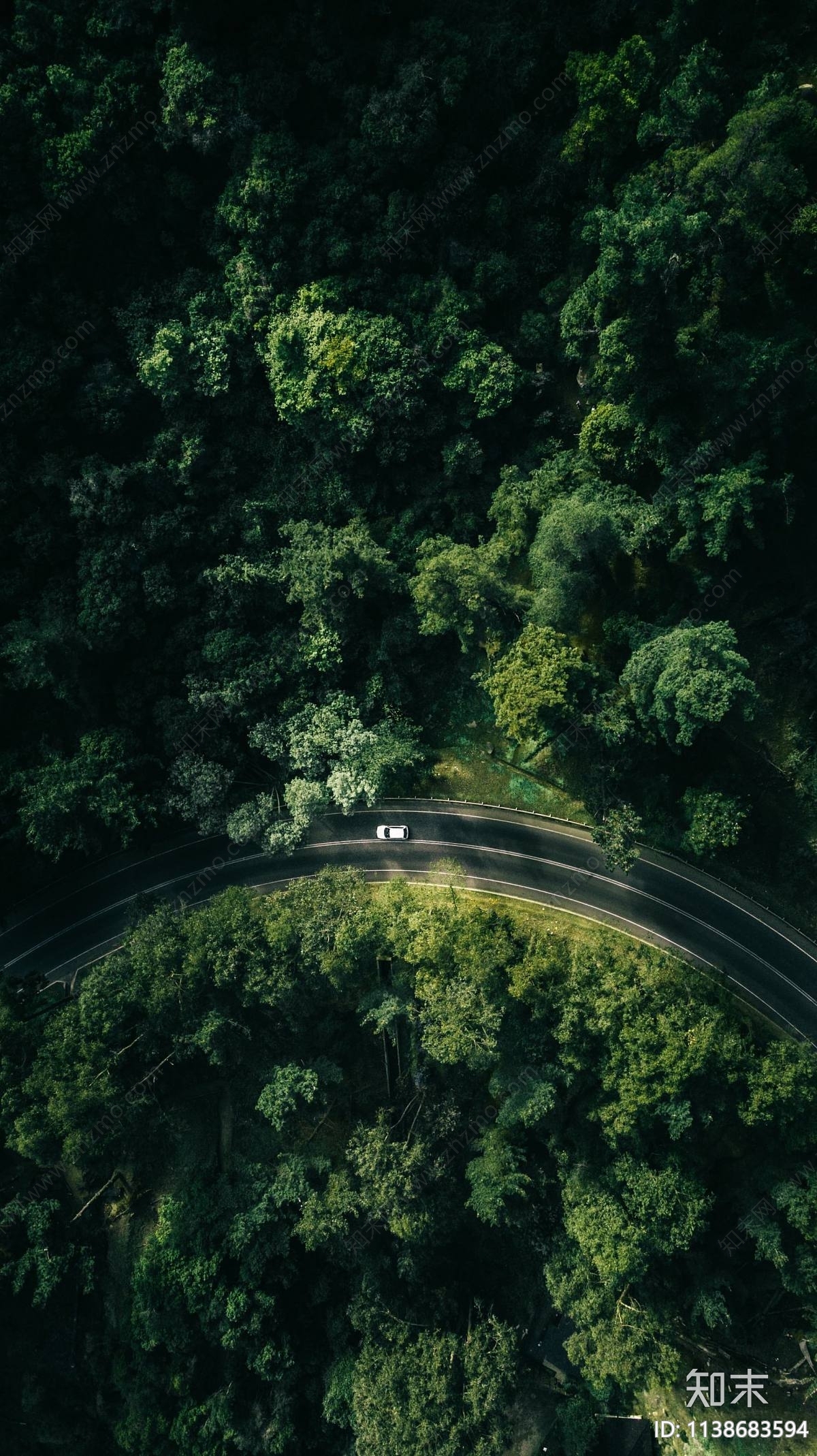 森林道路鸟瞰图贴图下载【ID:1138683594】