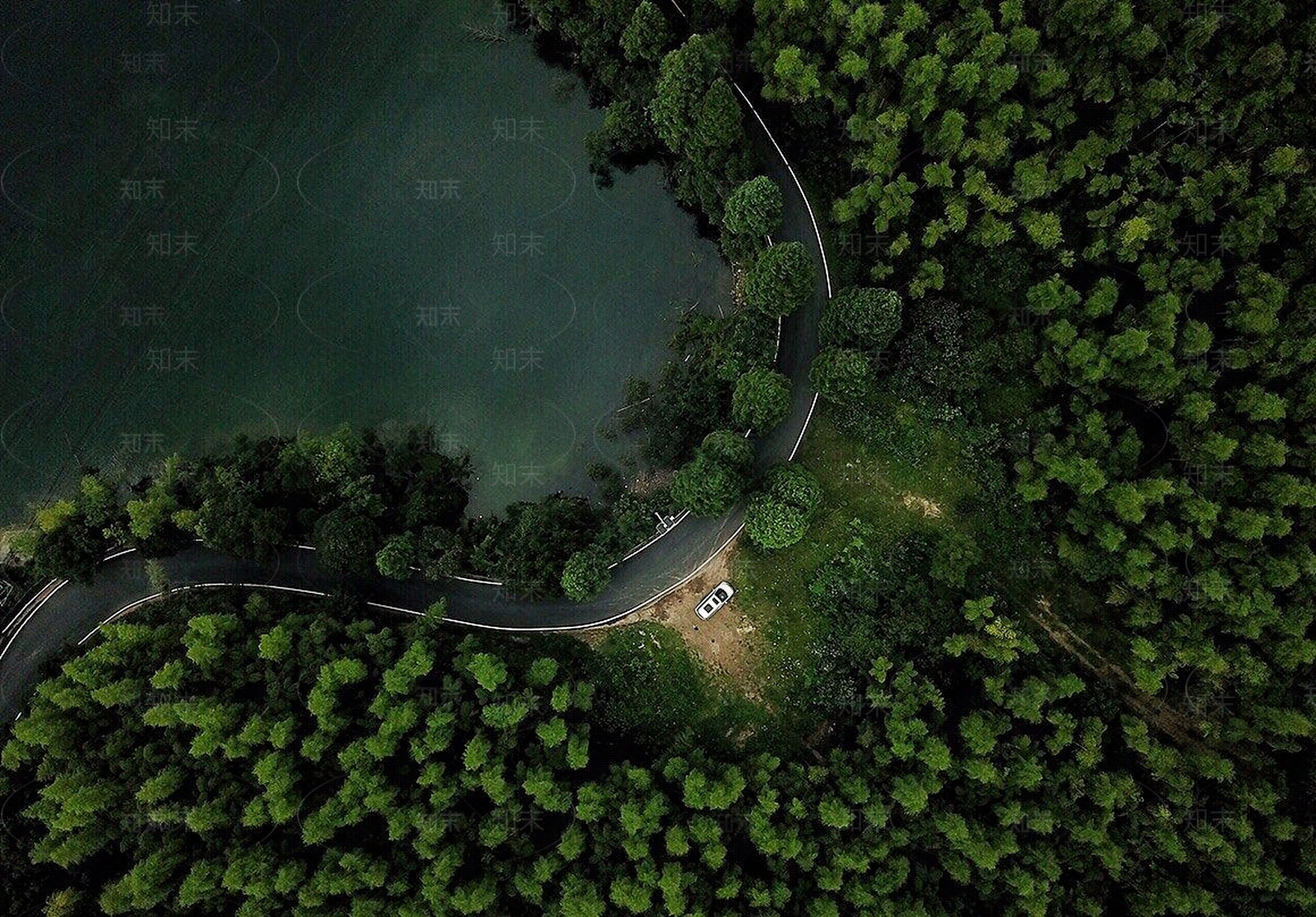 滨水森林鸟瞰图贴图下载【ID:1138684481】