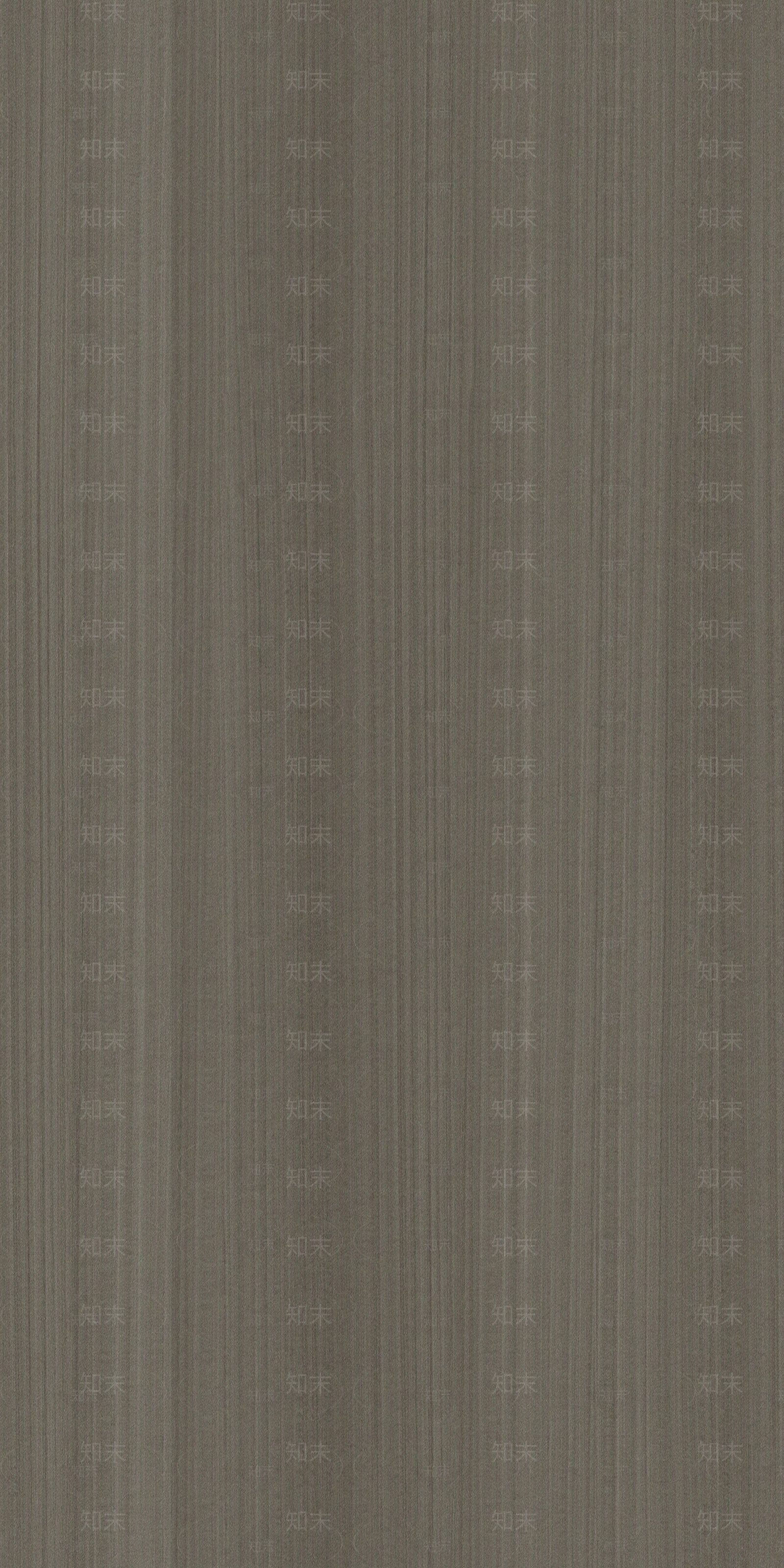 橄榄树澳洲尤加利灰色木纹贴图下载【ID:1138700204】