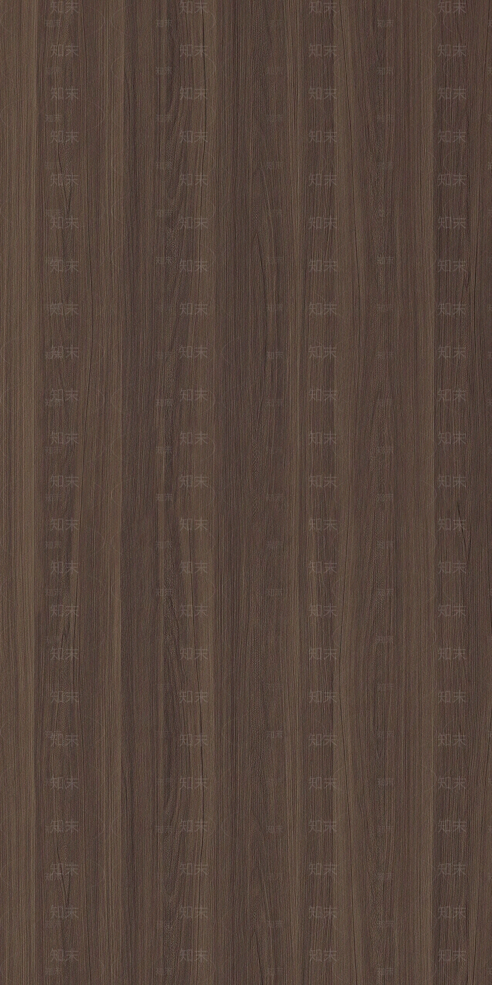 橄榄树南美铁苏木木纹贴图下载【ID:1138707618】