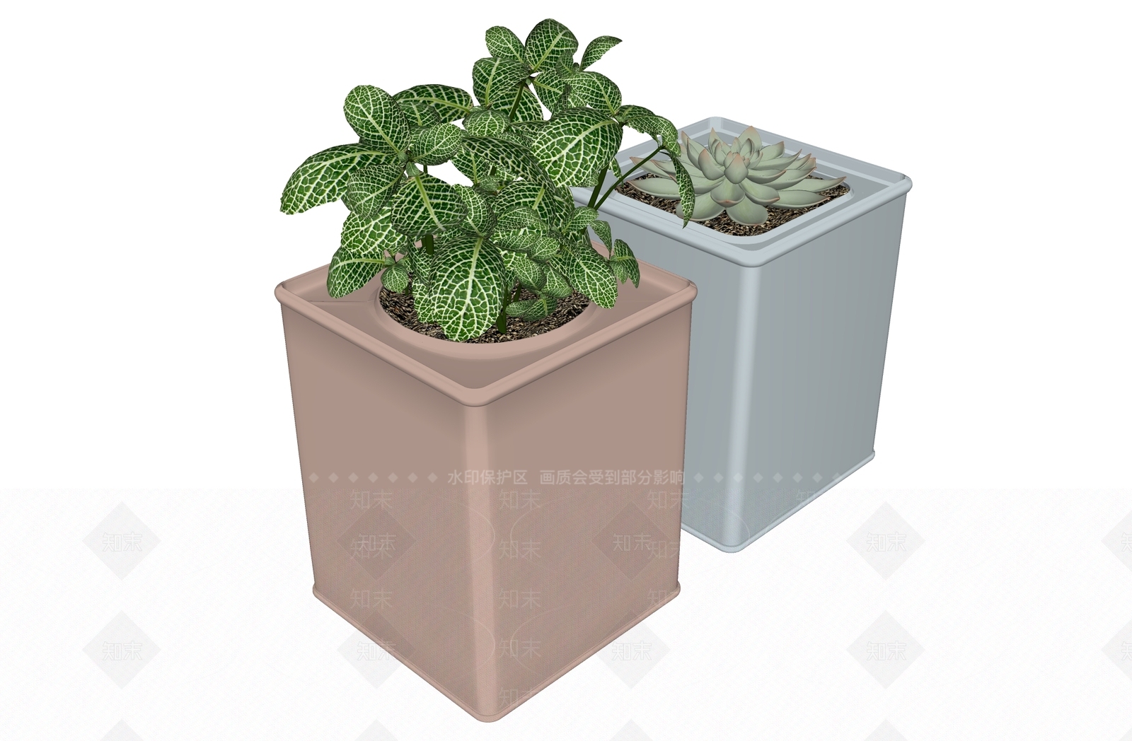 多肉SU模型下载【ID:1138731170】