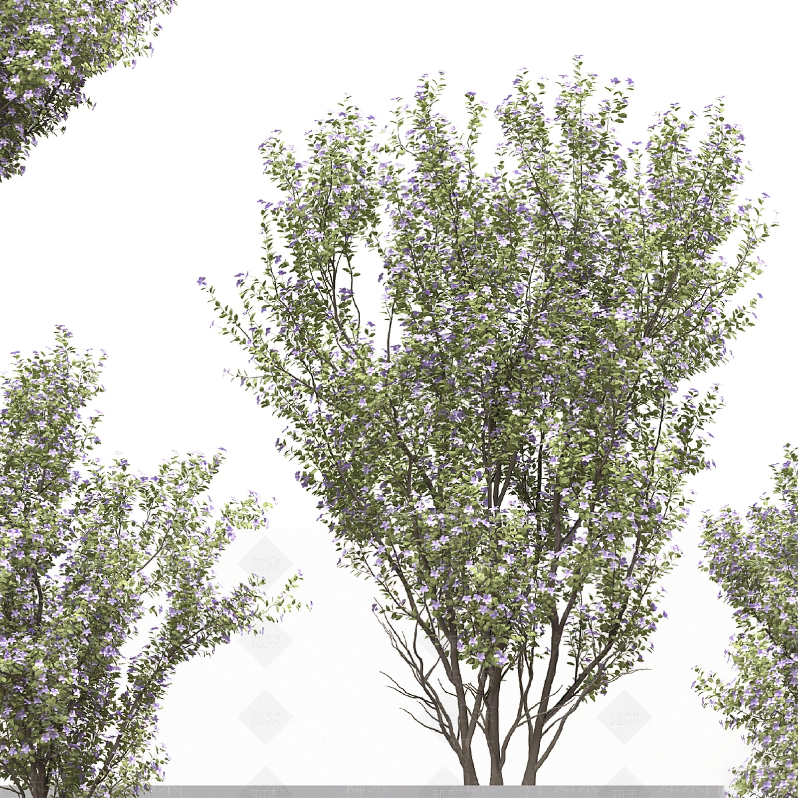 乔木3D模型下载【ID:1138804486】