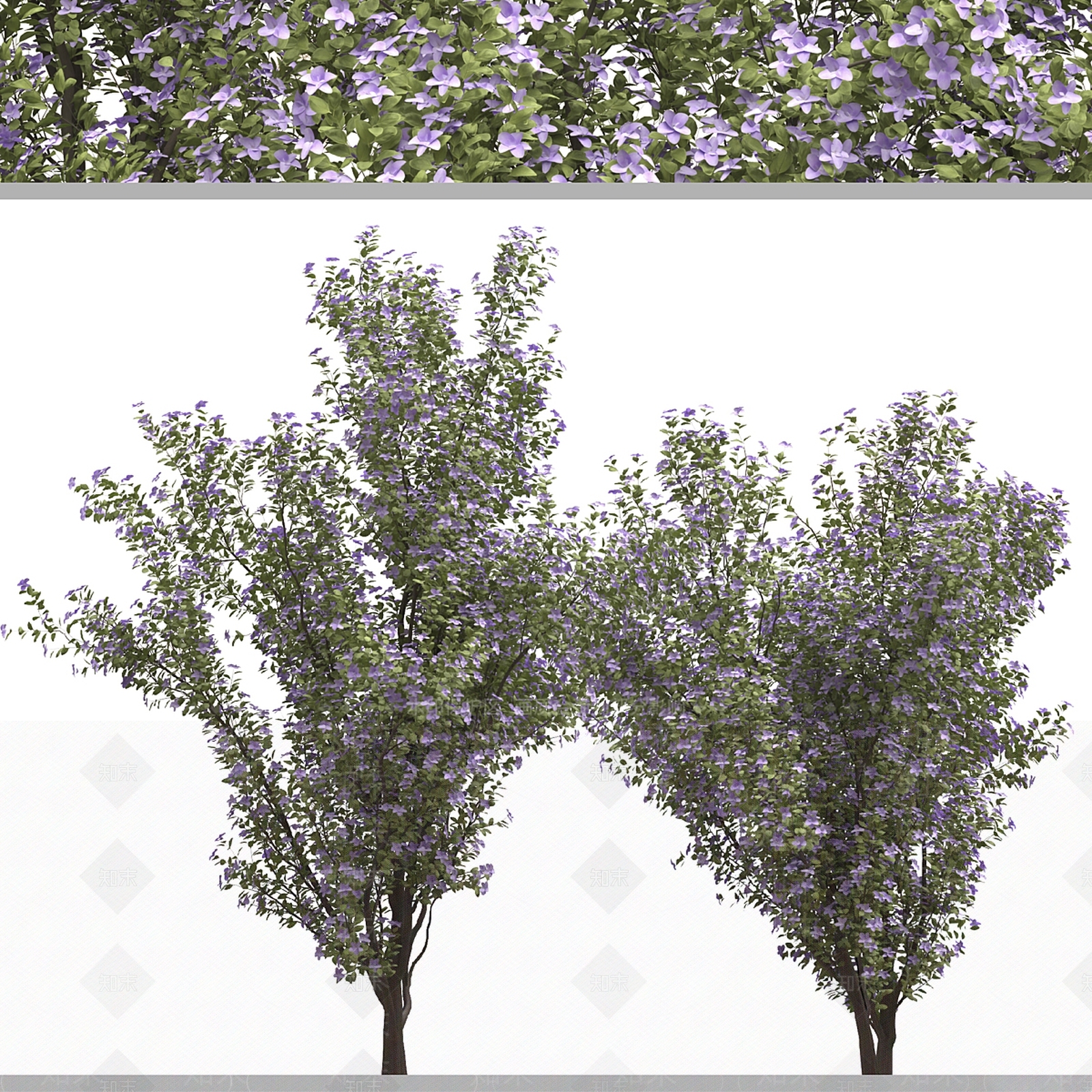 乔木3D模型下载【ID:1138804486】