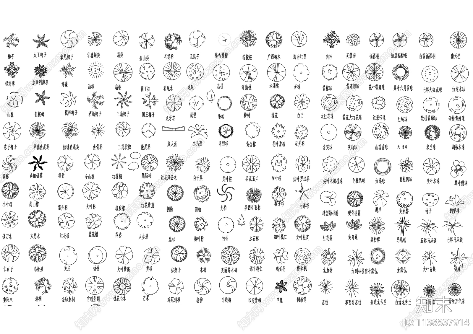 现代植物平面cad施工图下载【ID:1138837914】