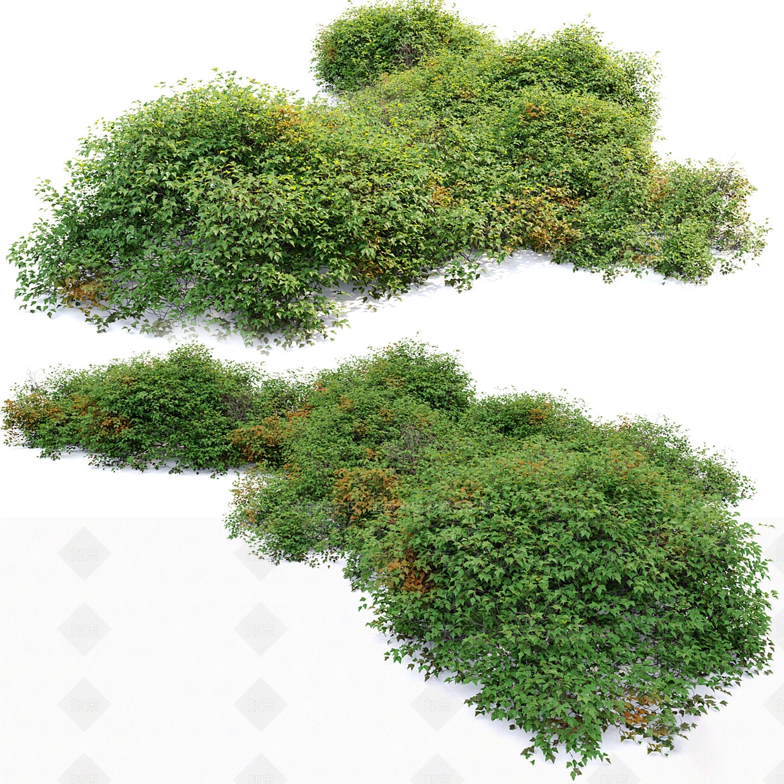 灌木3D模型下载【ID:1138850487】_知末3d模型网