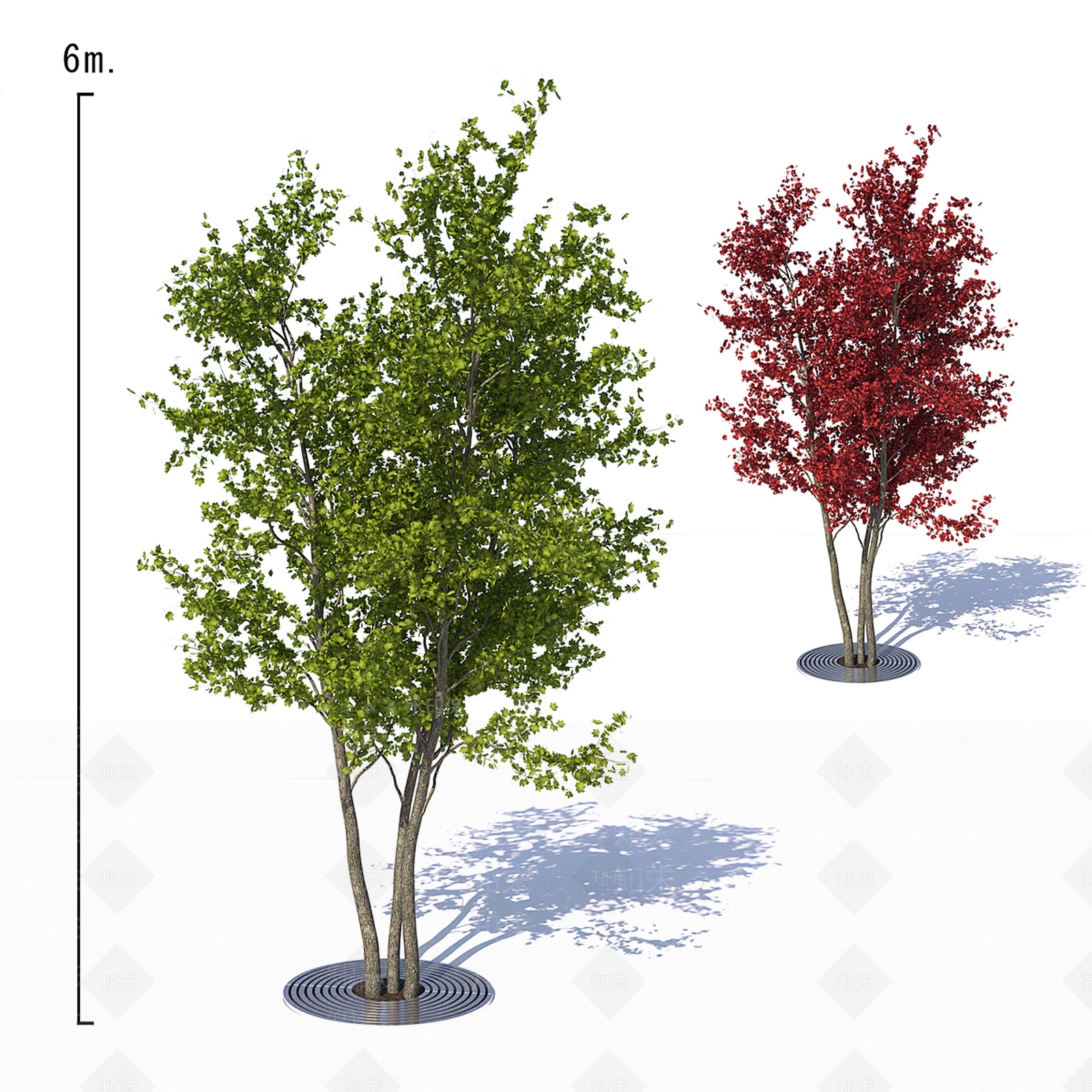 乔木3D模型下载【ID:1138854251】