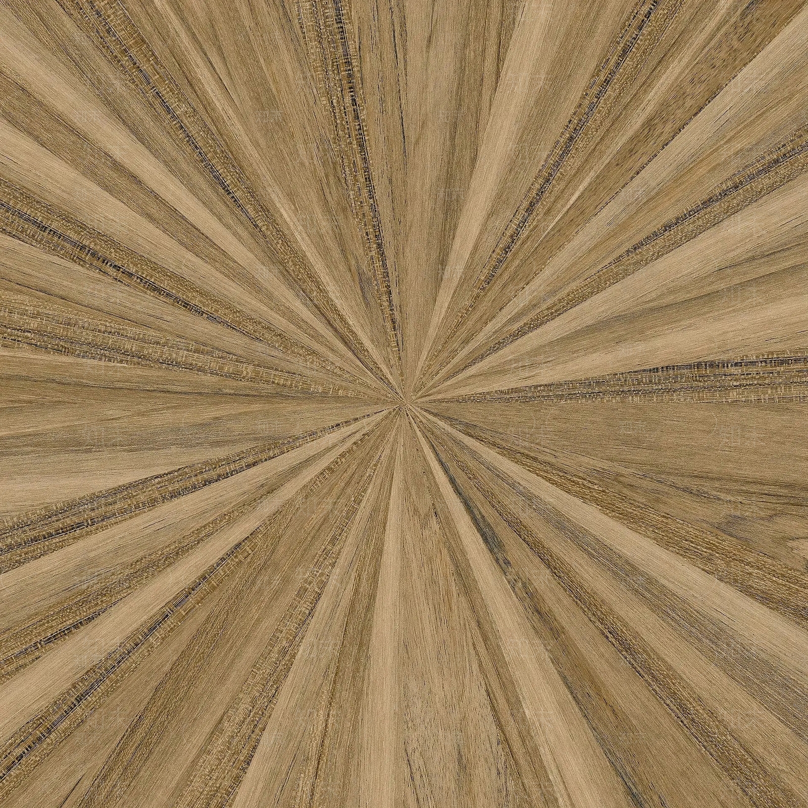 放射形原木木纹贴图下载【ID:1138863603】